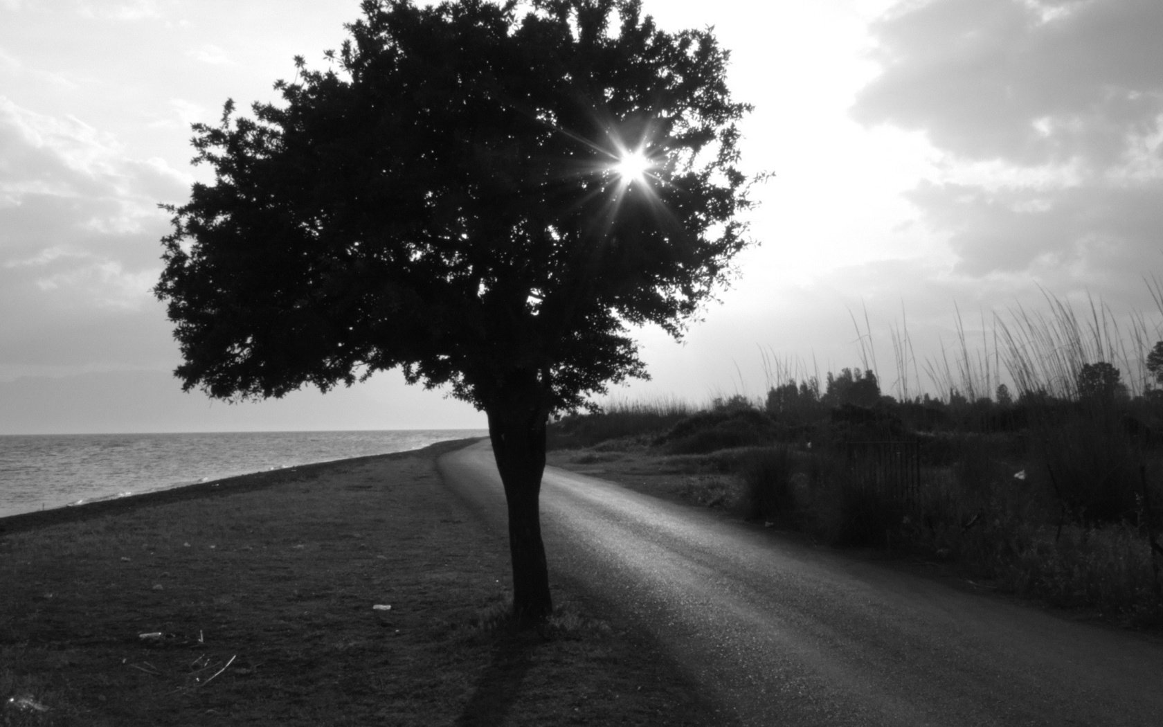 Обои дорога, дерево, чёрно-белое, черно-белая, road, tree, black and white разрешение 1920x1440 Загрузить