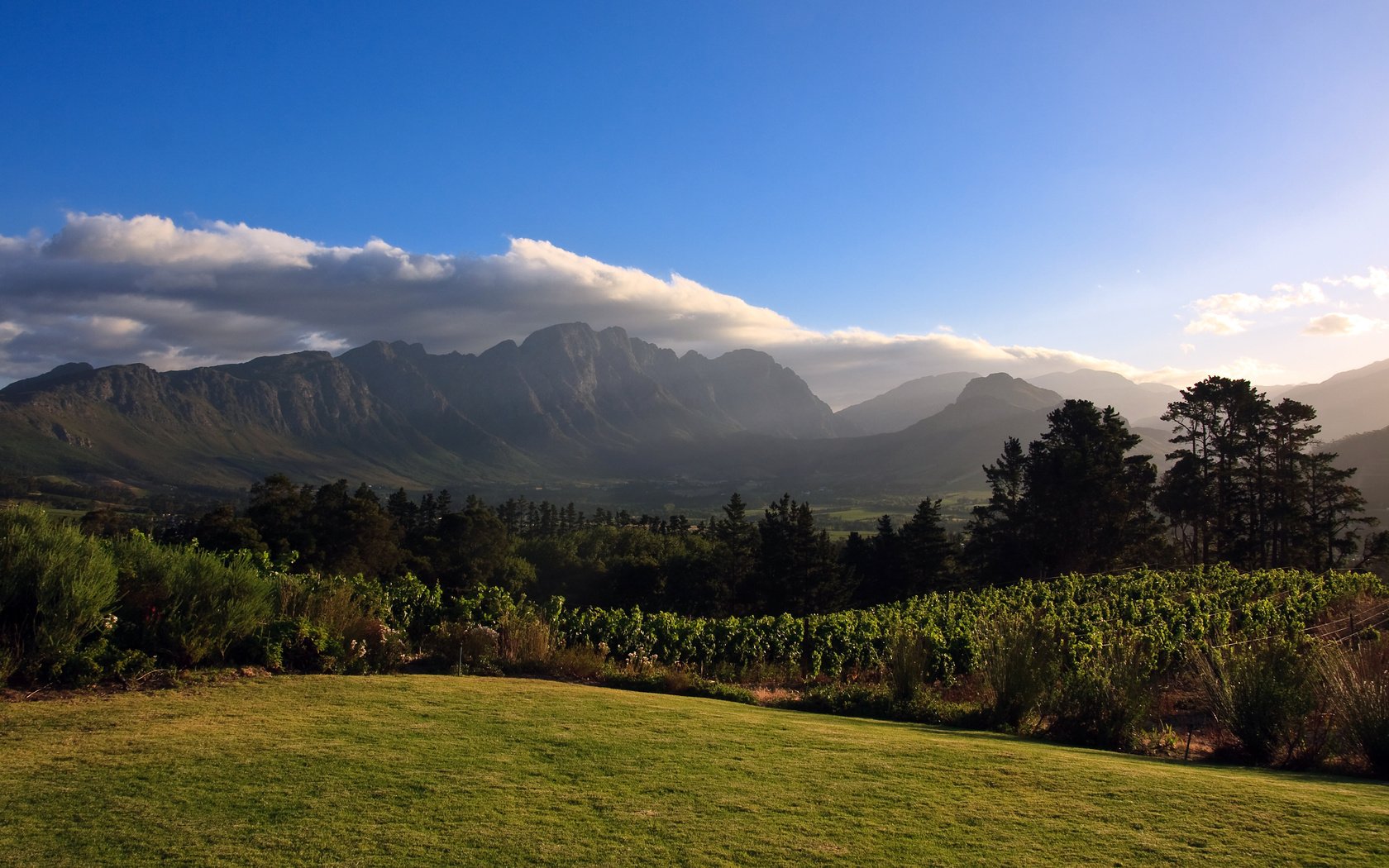 Обои горы, африка, виноградник, mountains, africa, vineyard разрешение 2560x1600 Загрузить