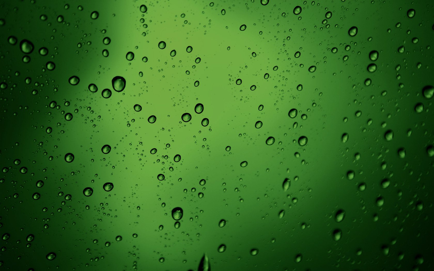 Обои обои, текстура, зелёный, макро, капли, пузыри, бульки, green texture, water drops style, wallpaper, texture, green, macro, drops, bubbles, bulka разрешение 2560x1600 Загрузить