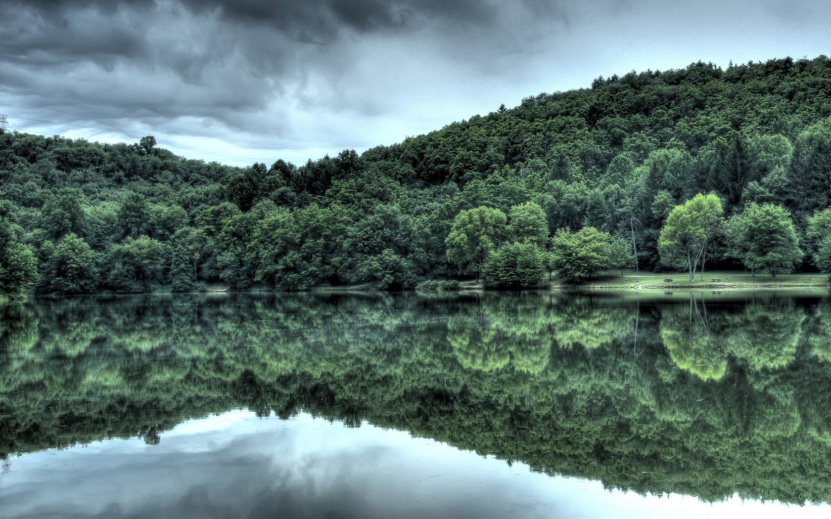 Обои вода, лес, отражение, water, forest, reflection разрешение 2560x1600 Загрузить