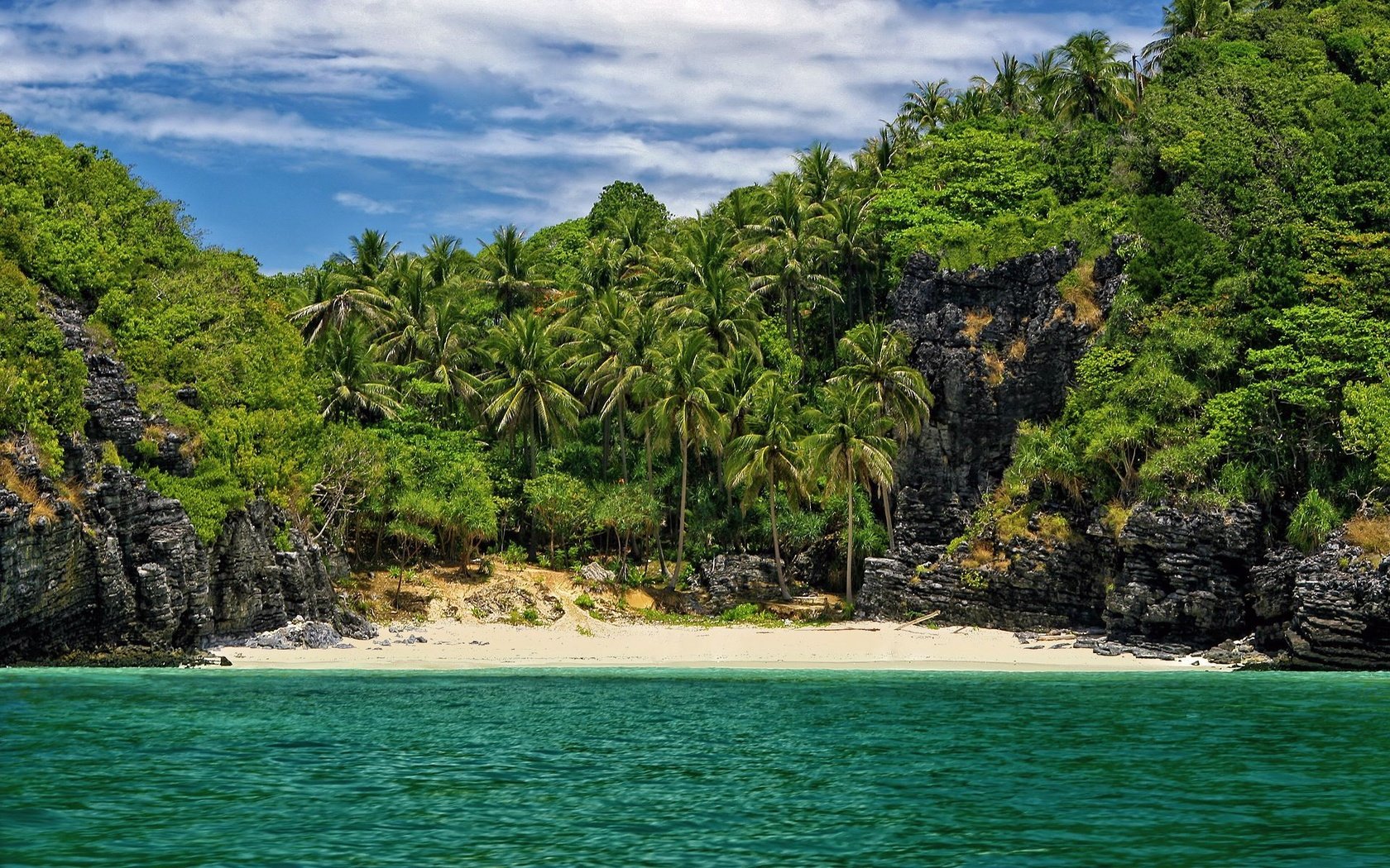 Обои пляж, пальмы, в укромном месте, beach, palm trees, in a secluded place разрешение 1920x1200 Загрузить