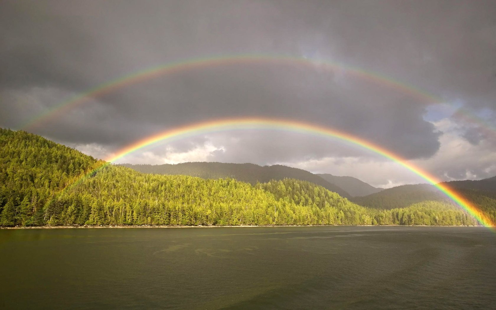 Обои облака, лес, радуга, водоем, clouds, forest, rainbow, pond разрешение 1920x1200 Загрузить