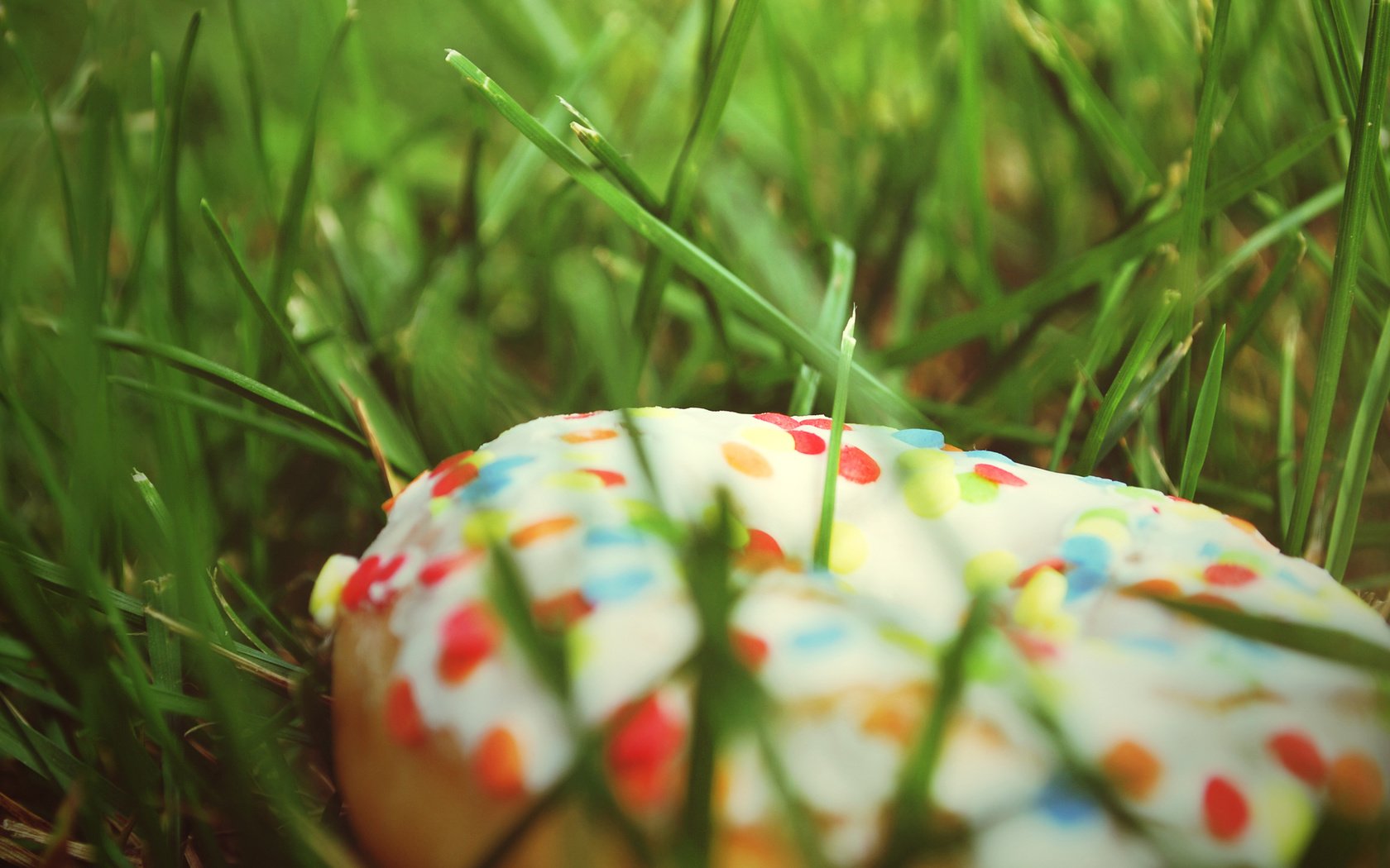 Обои трава, еда, пончик, grass, food, donut разрешение 2560x1600 Загрузить