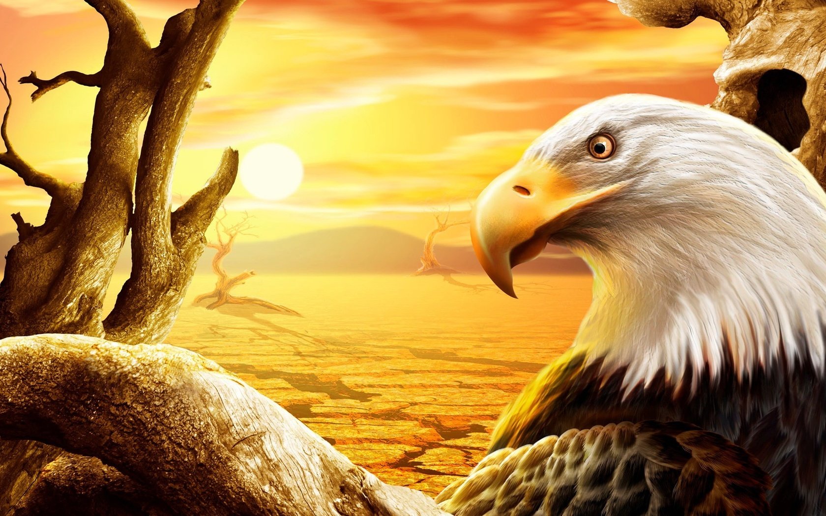 Обои рисунок, солнце, пустыня, орел, птица, клюв, белоголовый орлан, figure, the sun, desert, eagle, bird, beak, bald eagle разрешение 1920x1200 Загрузить