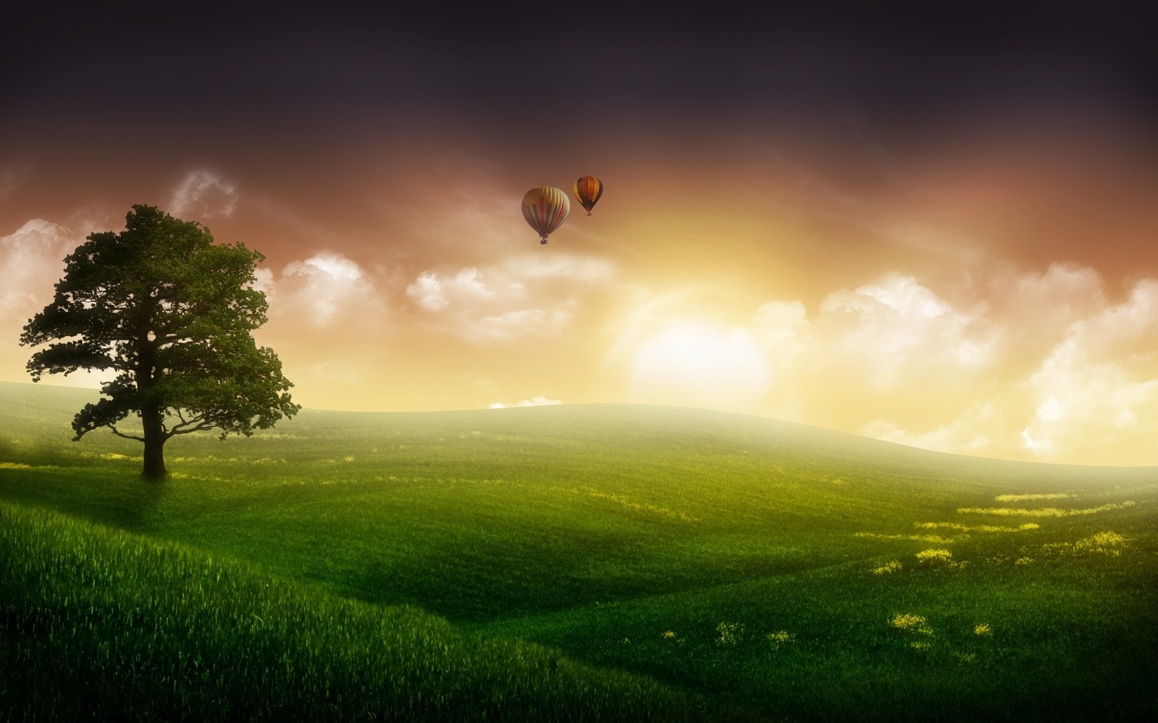 Обои небо, трава, дерево, шары, туман, фантастика, the sky, grass, tree, balls, fog, fiction разрешение 1920x1200 Загрузить