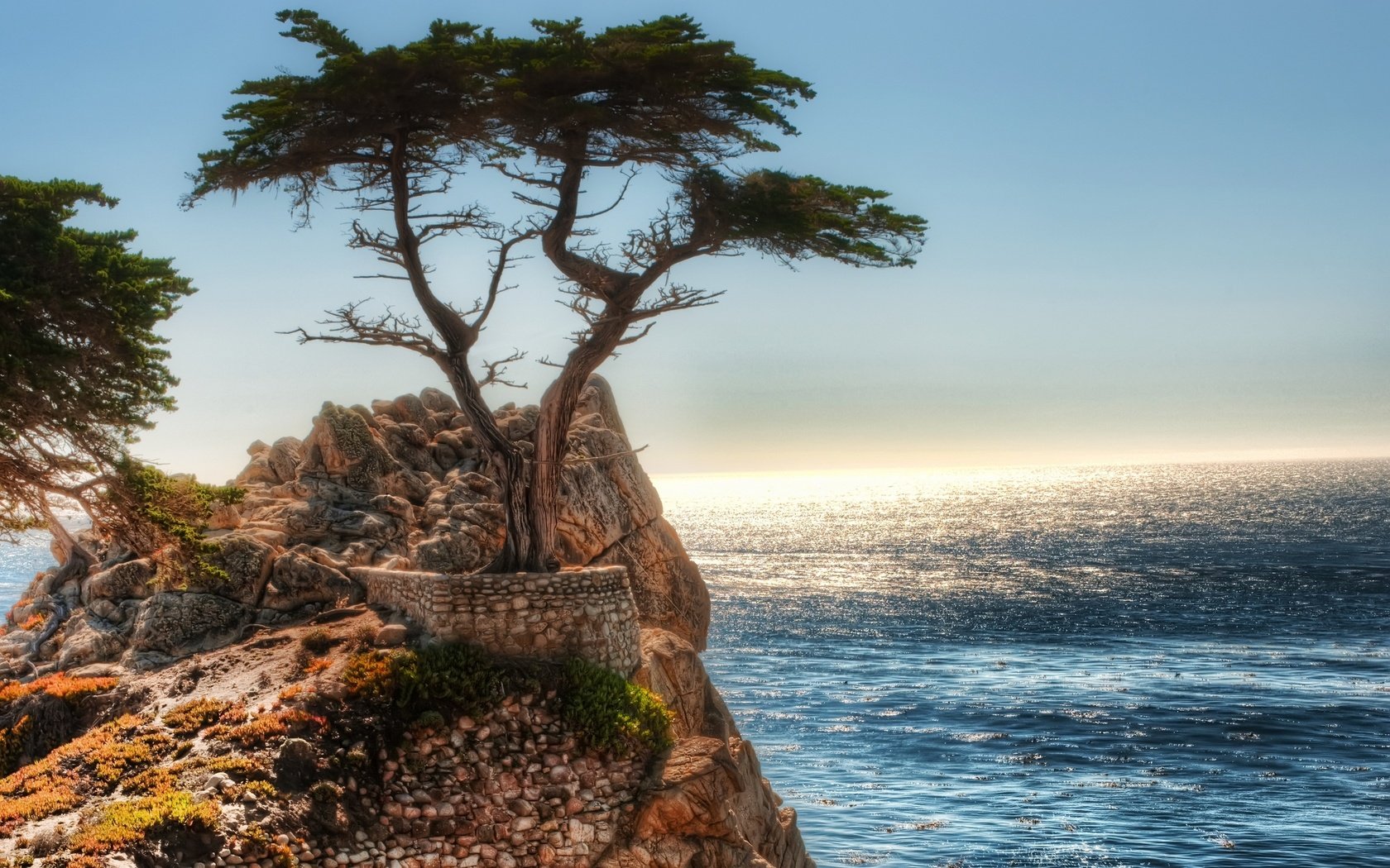 Обои скалы, дерево, океан, rocks, tree, the ocean разрешение 2560x1600 Загрузить