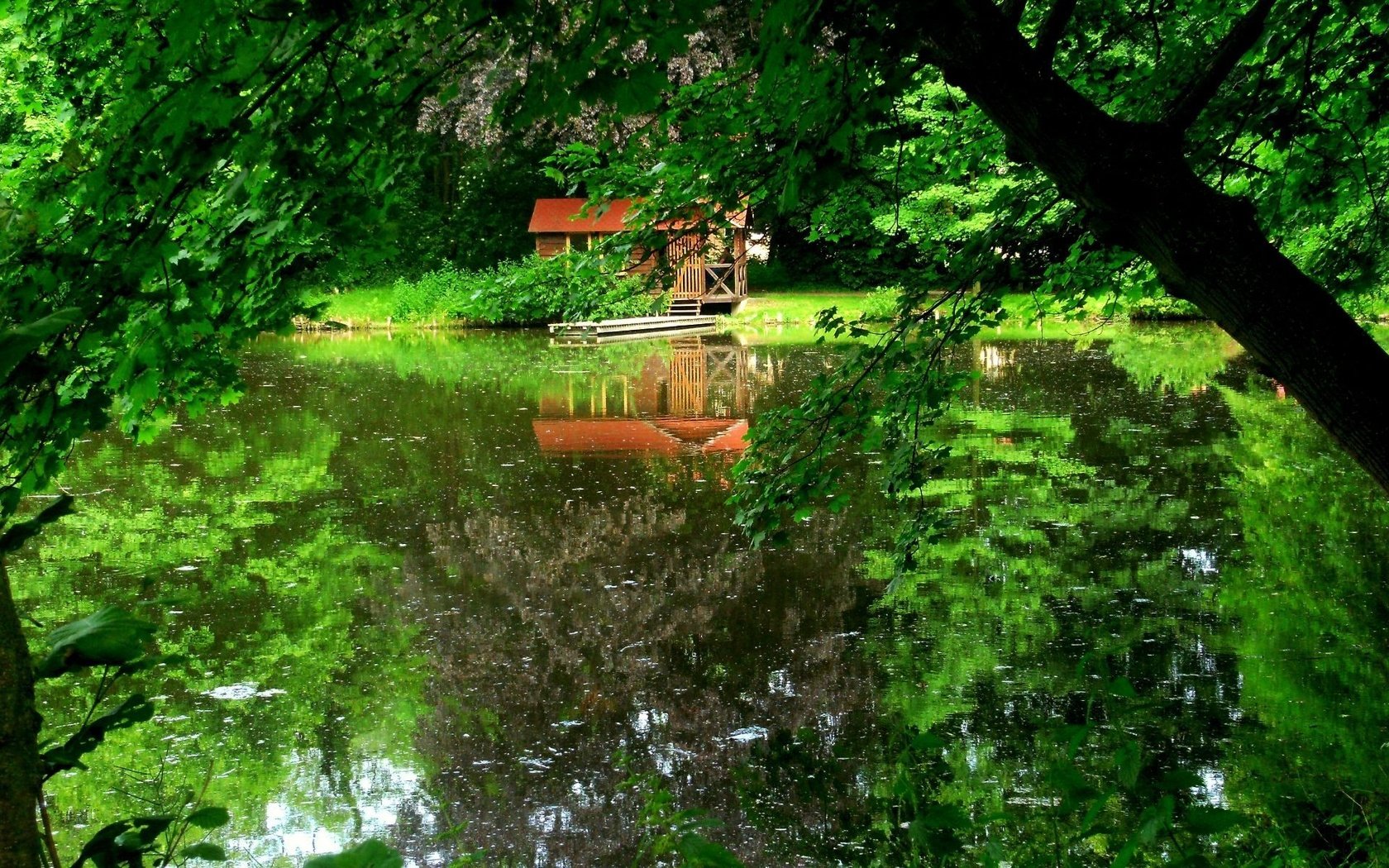 Обои деревья, озеро, dock, trees, lake разрешение 1920x1200 Загрузить