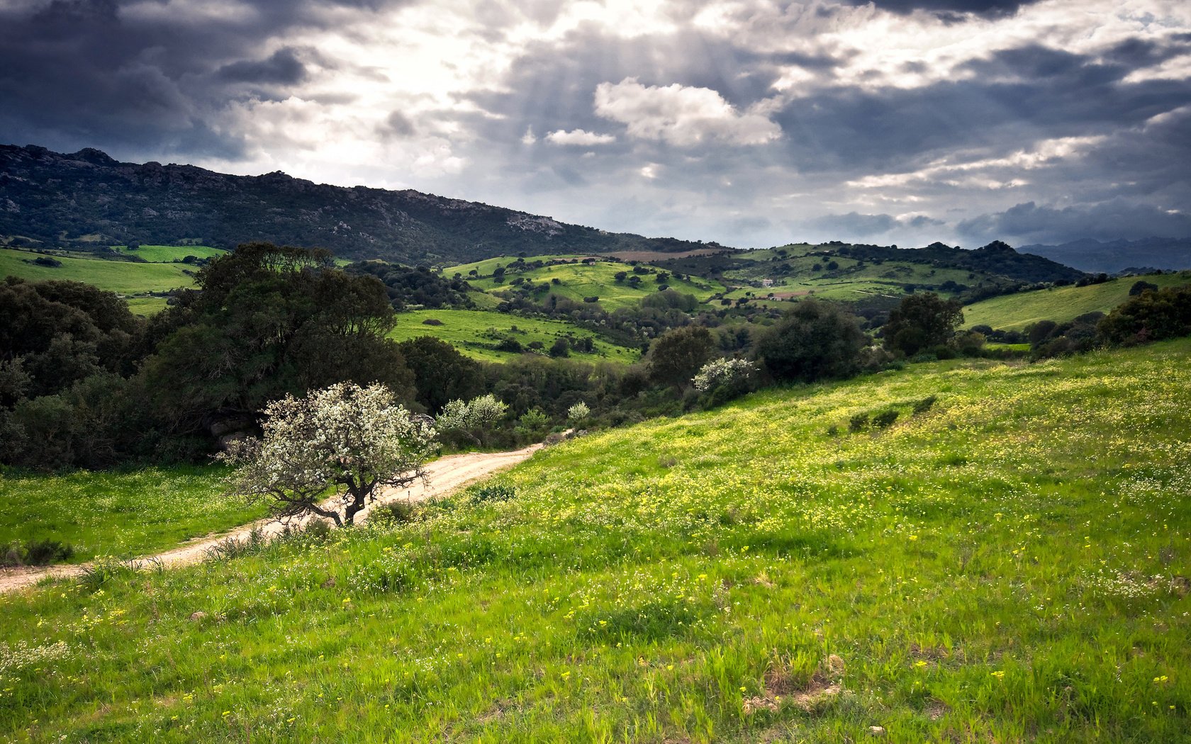 Обои холмы, зелень, италия, сардиния, hills, greens, italy, sardinia разрешение 2560x1600 Загрузить