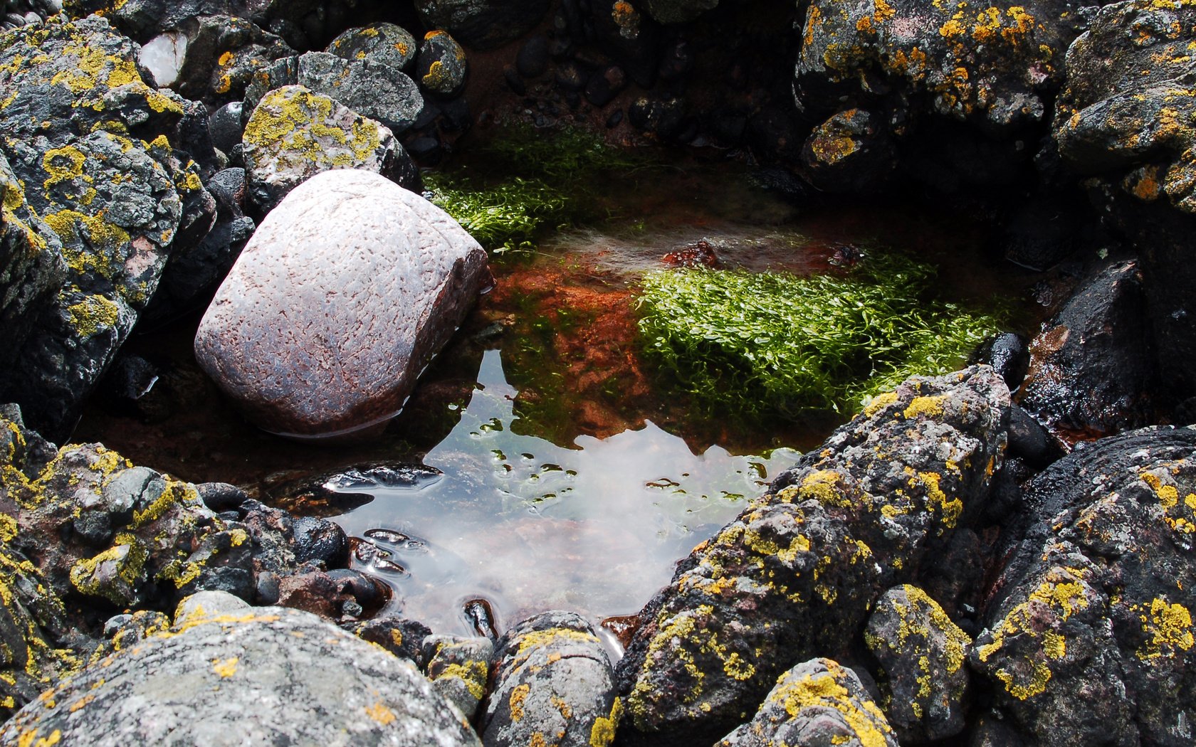 Обои вода, скалы, камни, мох, лужа, водоросли, отражения отражений, water, rocks, stones, moss, puddle, algae, reflections reflections разрешение 3008x2000 Загрузить