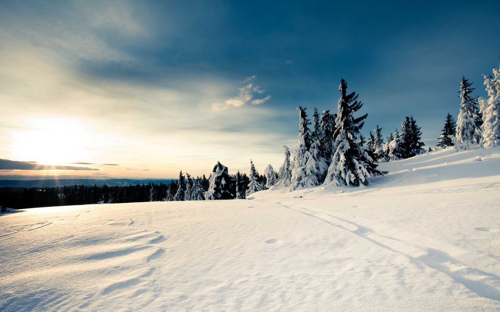 Обои небо, снег, лес, зима, the sky, snow, forest, winter разрешение 2560x1600 Загрузить