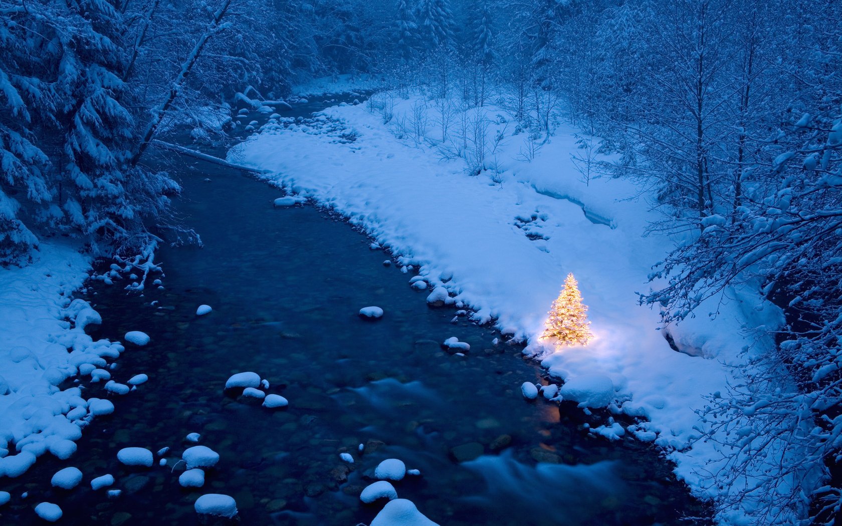 Обои река, елка, лес, гирлянды, зимний, новогодняя, river, tree, forest, garland, winter, christmas разрешение 1920x1200 Загрузить