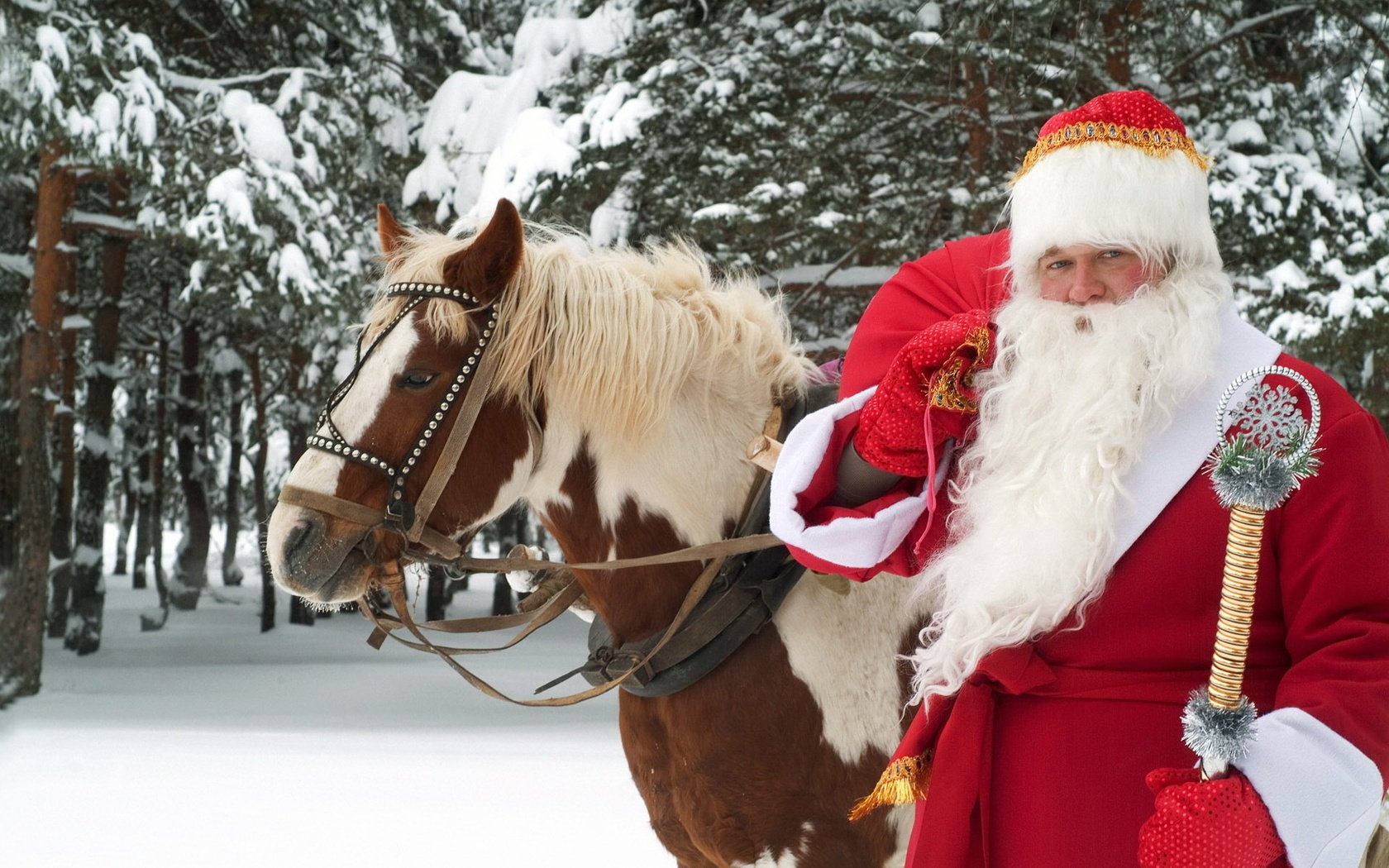 Обои лошадь, новый год, лес, зима, дед мороз, праздник, великий устюг, horse, new year, forest, winter, santa claus, holiday, veliky ustyug разрешение 1920x1200 Загрузить