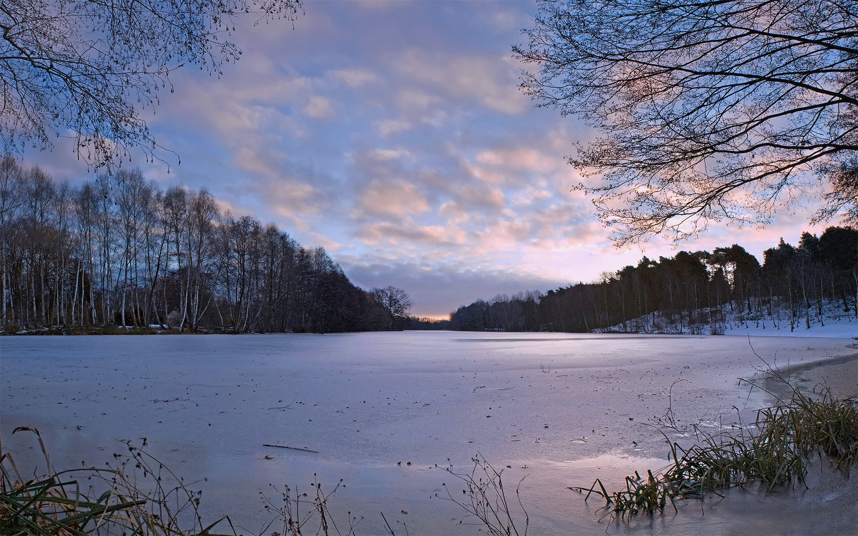 Обои деревья, река, природа, зима, наледь, trees, river, nature, winter, frost разрешение 1920x1200 Загрузить