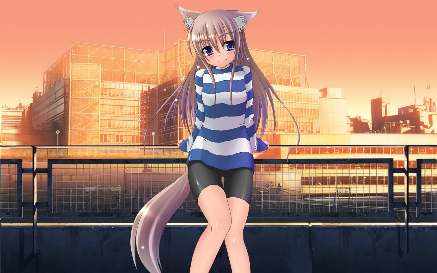 Обои город, ножки, ушки, лисичка, хвостик, the city, legs, ears, fox, ponytail разрешение 2000x1423 Загрузить