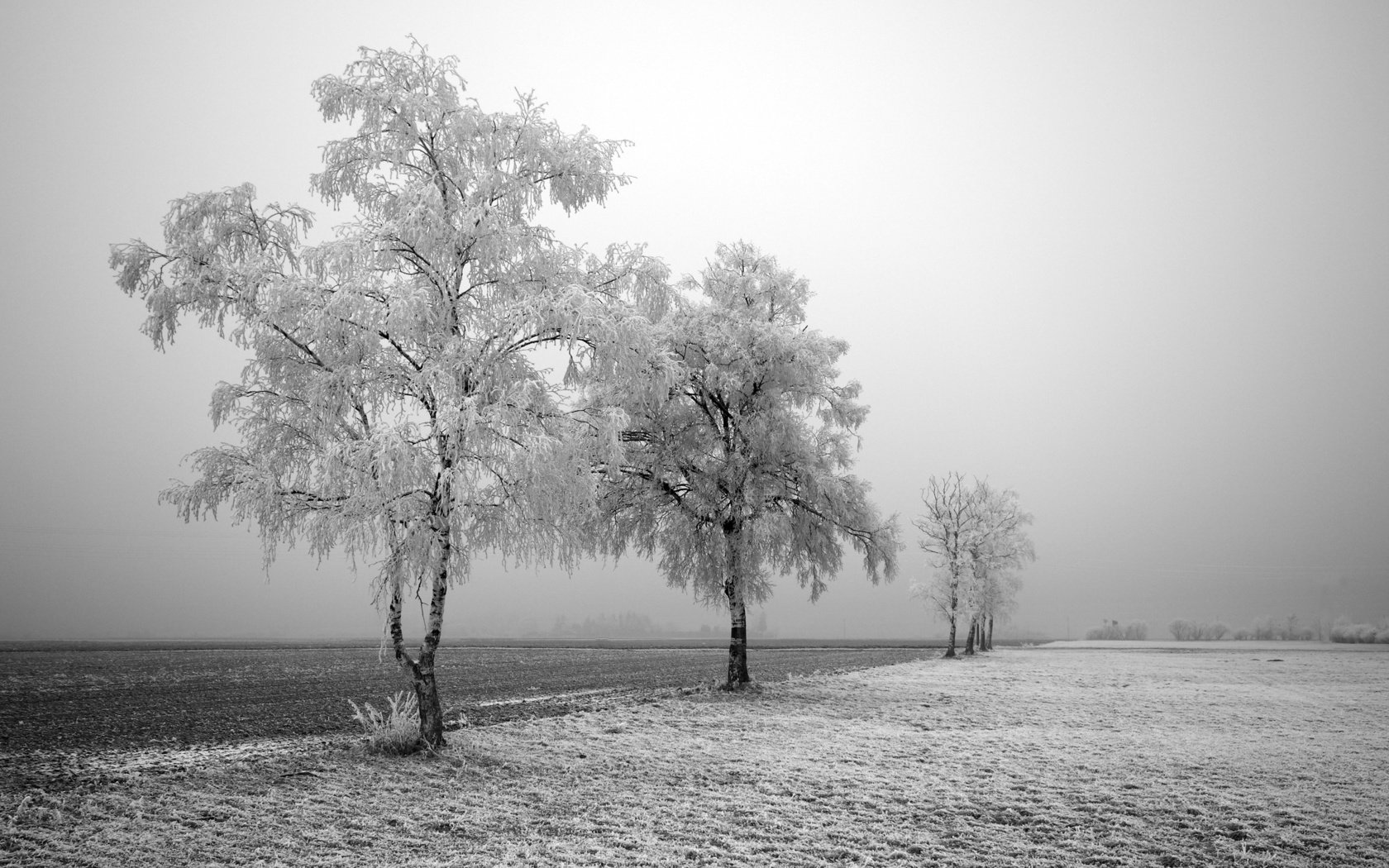 Обои дорога, деревья, зима, road, trees, winter разрешение 2560x1600 Загрузить