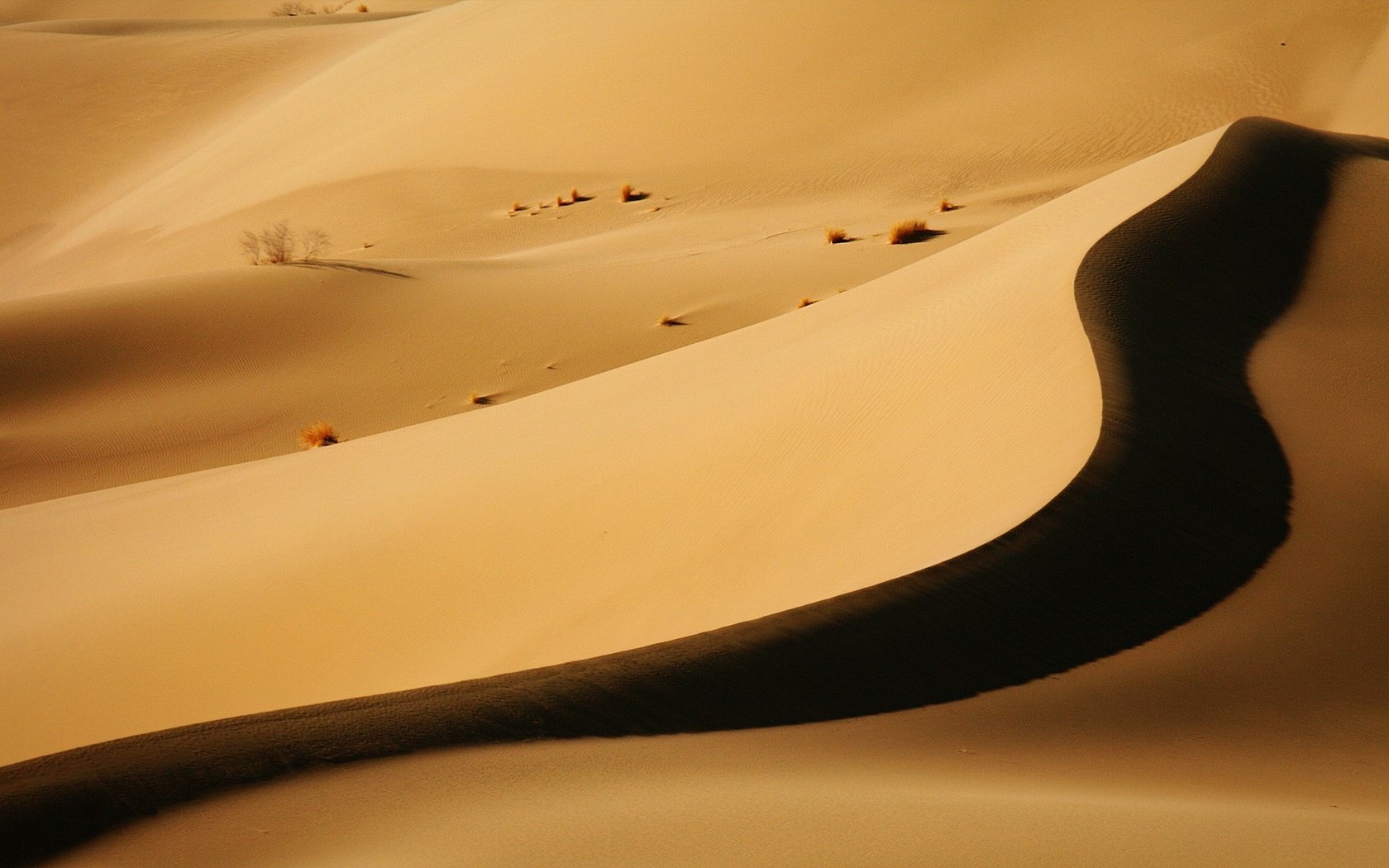 Обои пустыня, тень, бархан, desert, shadow, barkhan разрешение 1920x1200 Загрузить