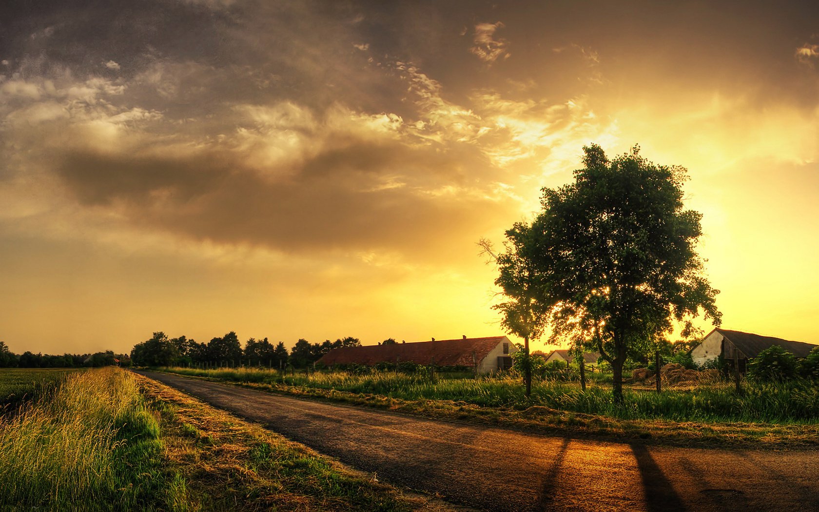 Обои дорога, трава, дерево, road, grass, tree разрешение 1920x1200 Загрузить