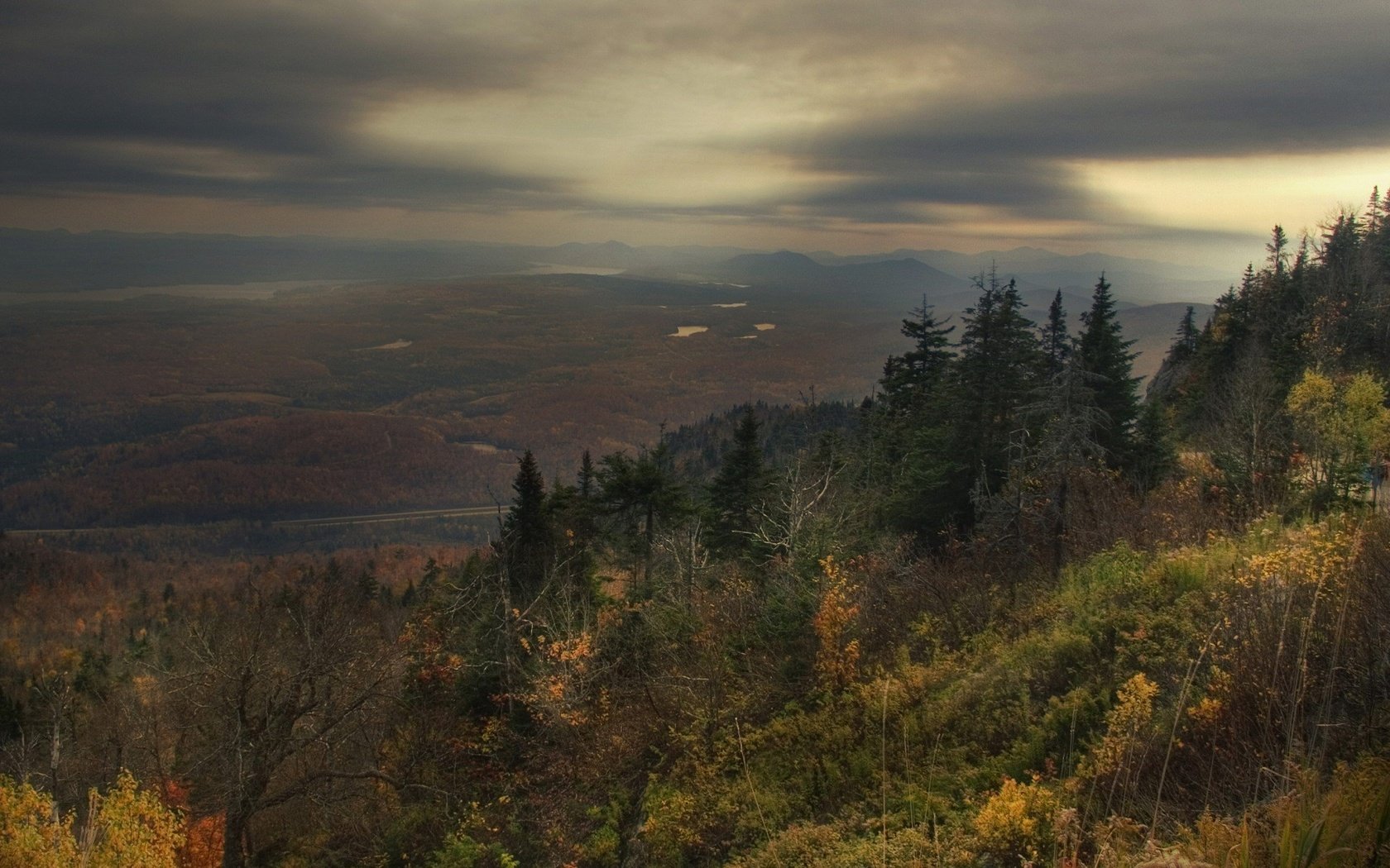 Обои лес, грусть, осень, forest, sadness, autumn разрешение 1920x1440 Загрузить