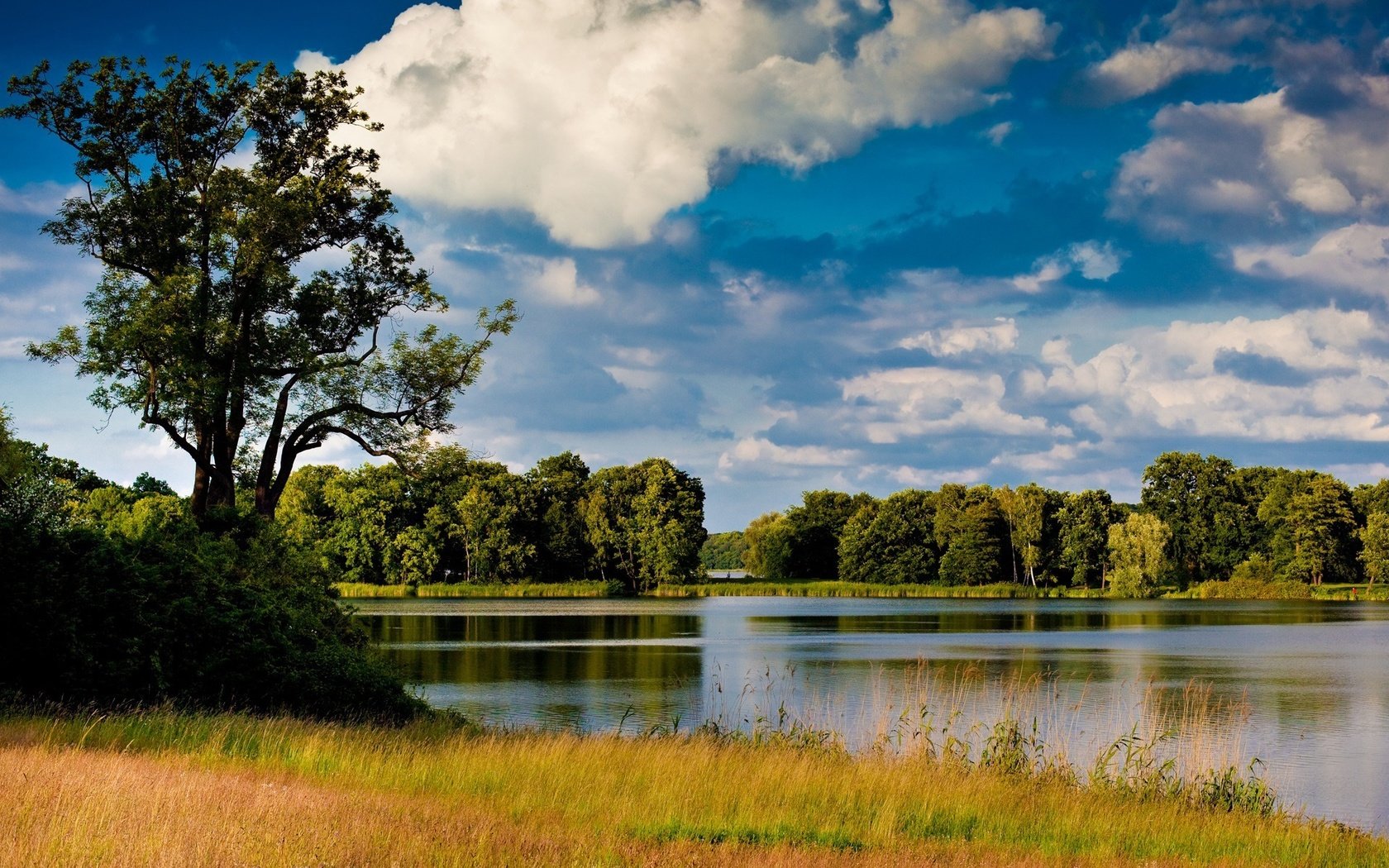 Обои небо, трава, вода, река, природа, дерево, обои, пейзаж, the sky, grass, water, river, nature, tree, wallpaper, landscape разрешение 1920x1200 Загрузить