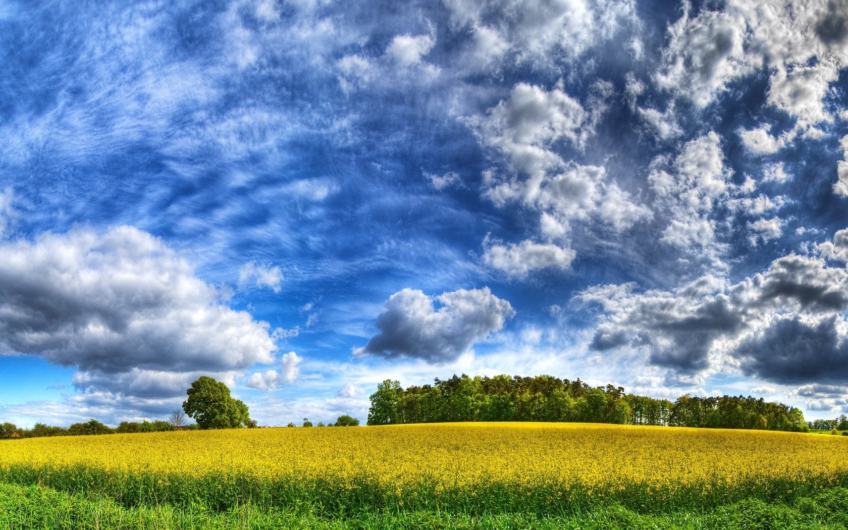 Обои небо, облака, желтый, поле, the sky, clouds, yellow, field разрешение 2560x1600 Загрузить