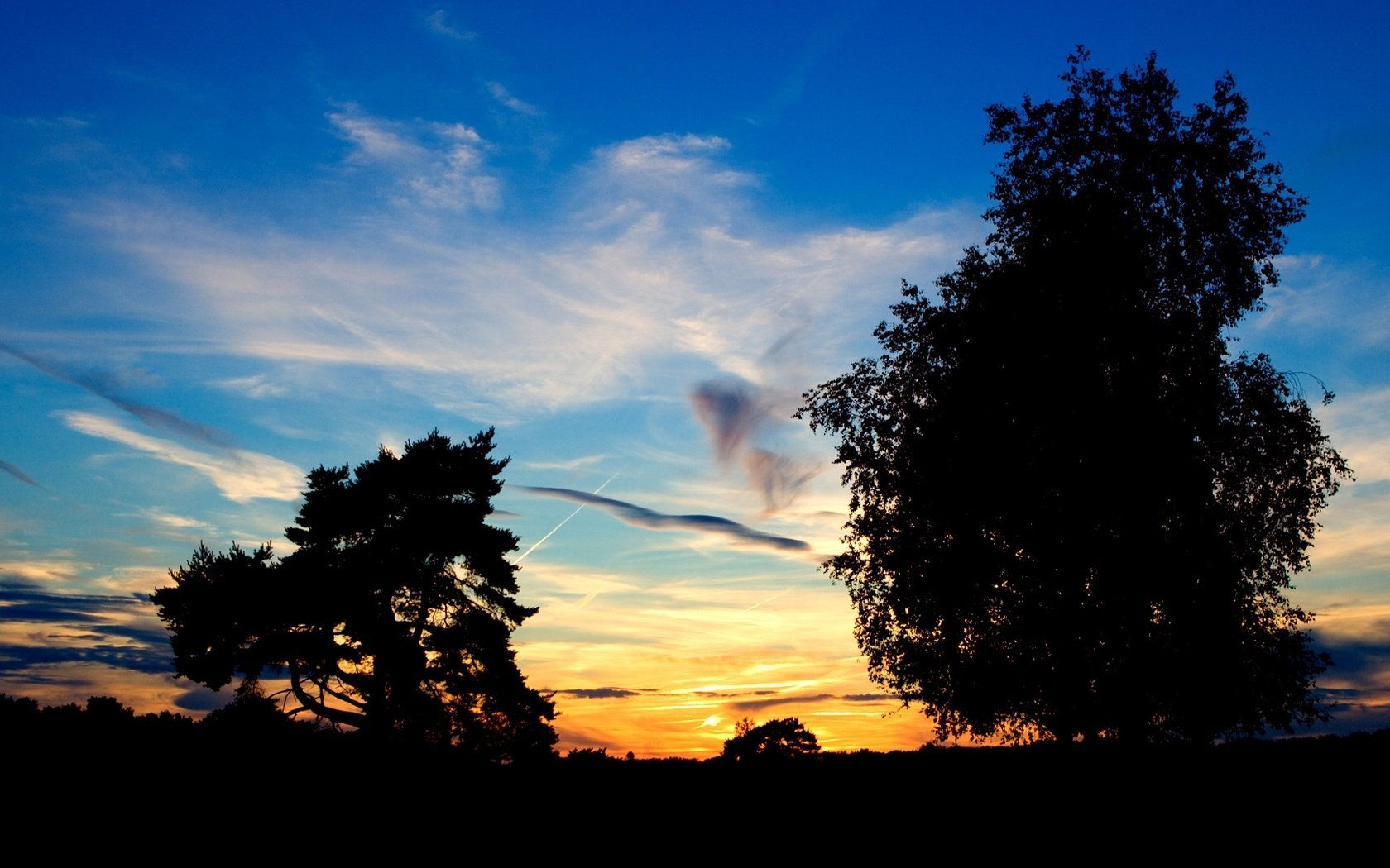 Обои небо, деревья, закат, the sky, trees, sunset разрешение 1920x1080 Загрузить