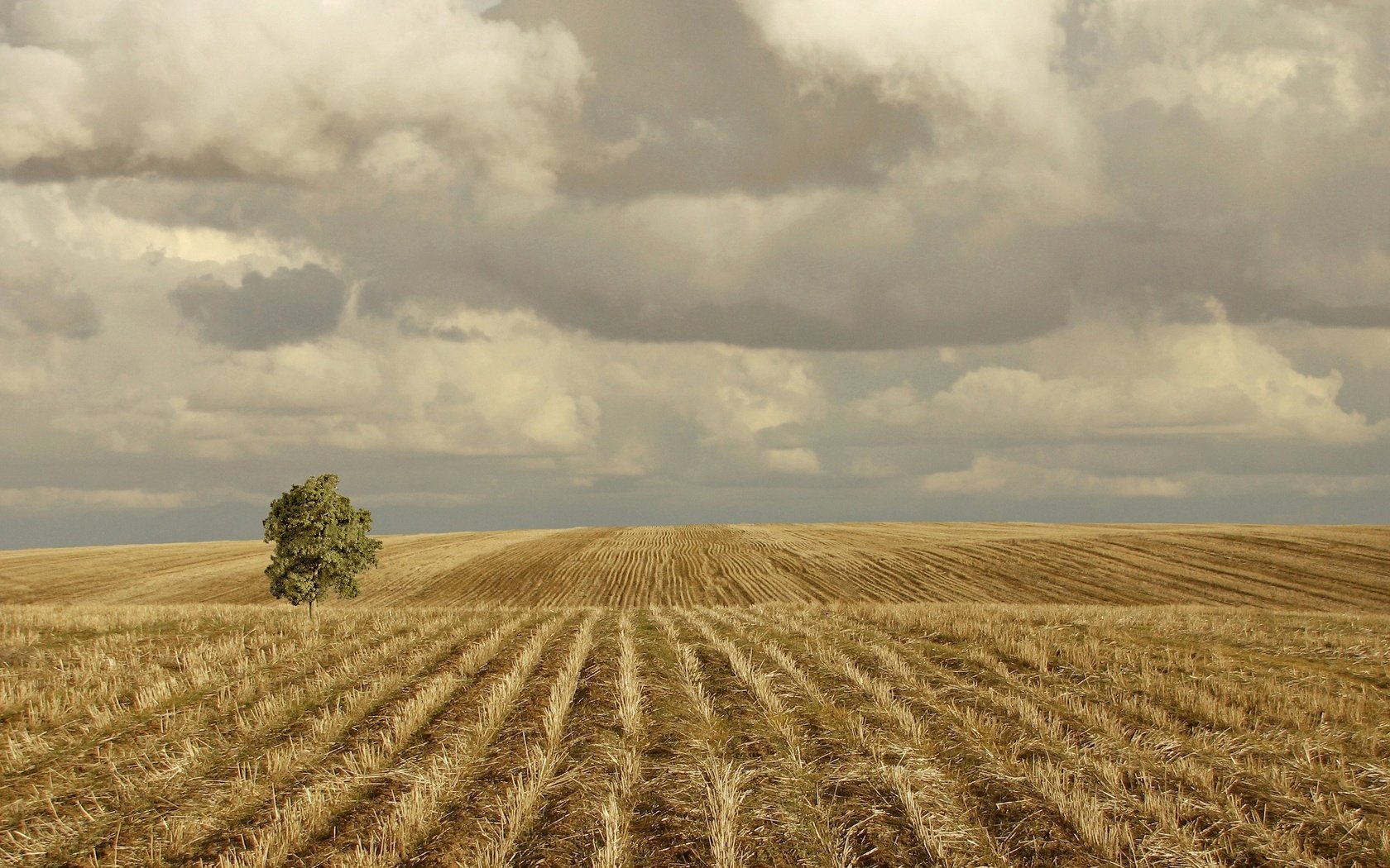 Обои облака, холмы, дерево, поле, clouds, hills, tree, field разрешение 2560x1920 Загрузить