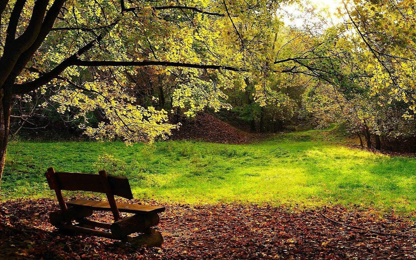 Обои деревья, листва, осень, скамейка, trees, foliage, autumn, bench разрешение 1920x1080 Загрузить