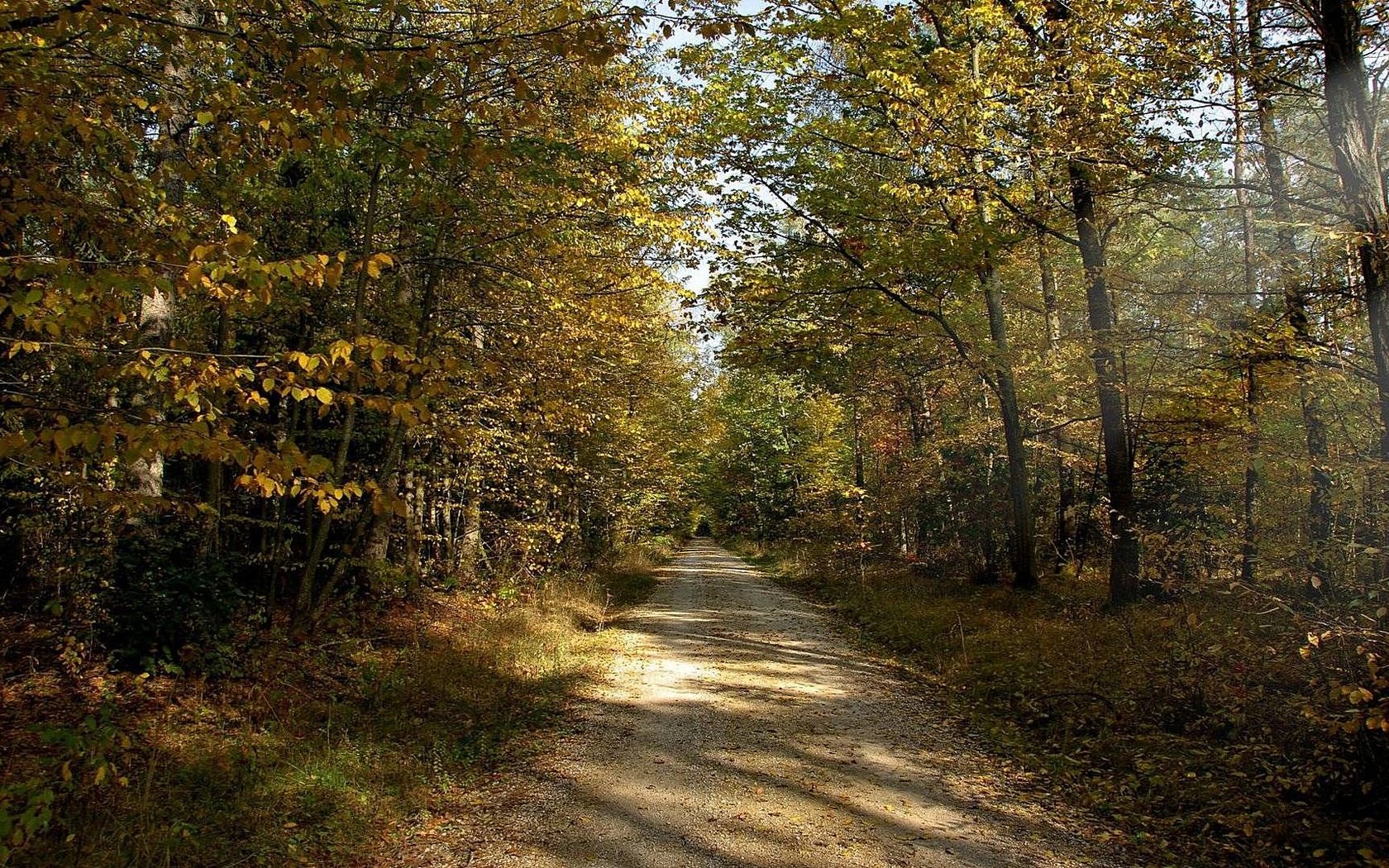 Обои дорога, солнце, лес, лучи, осень, грунтовая, road, the sun, forest, rays, autumn разрешение 1920x1080 Загрузить