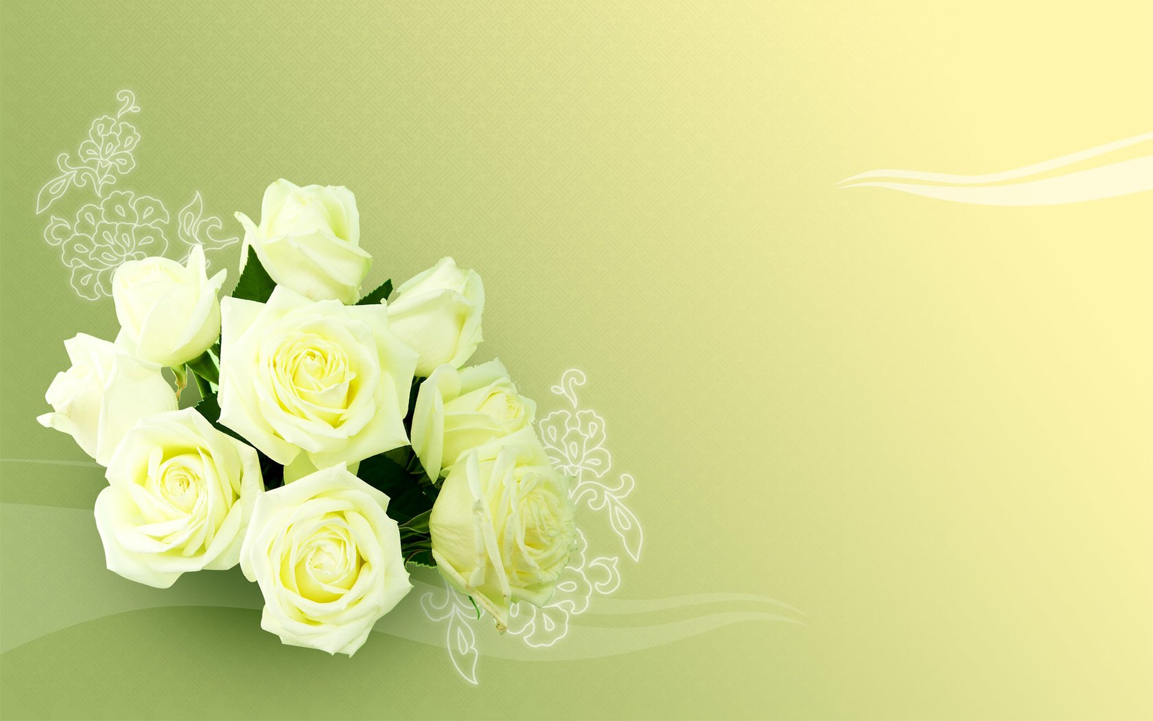Обои цветы, бутоны, фон, розы, лепестки, букет, flowers, buds, background, roses, petals, bouquet разрешение 1920x1200 Загрузить