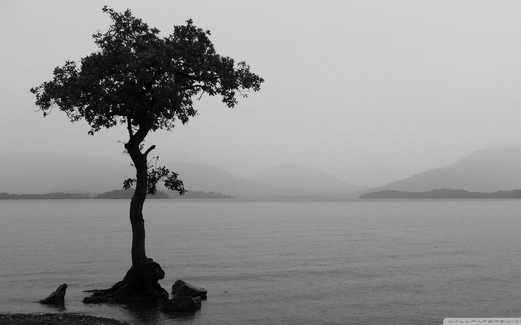 Обои озеро, природа, дерево, пейзаж, туман, чёрно-белое, lake, nature, tree, landscape, fog, black and white разрешение 1920x1080 Загрузить