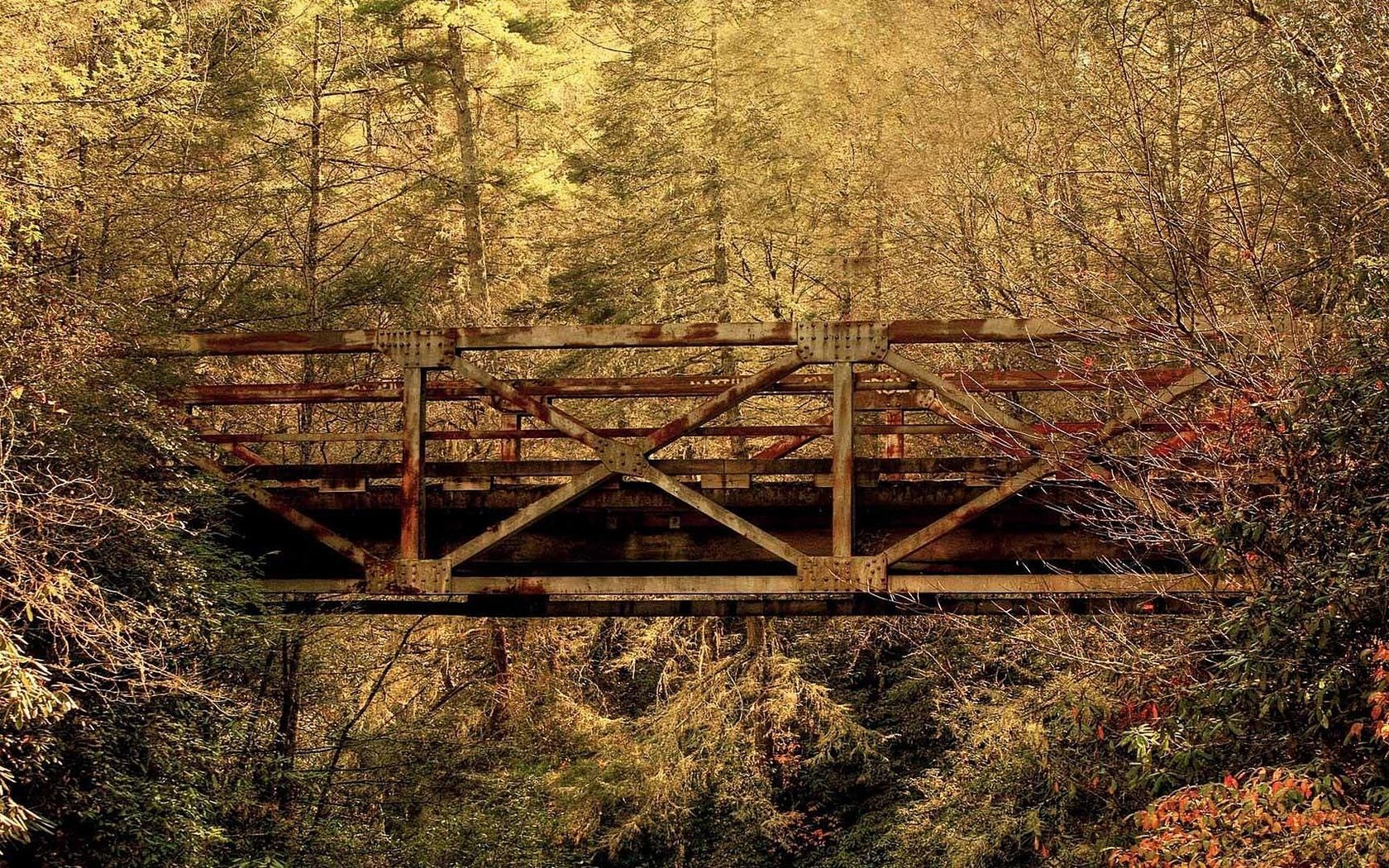 Обои лес, листья, мост, осень, южная каролина, forest, leaves, bridge, autumn, south carolina разрешение 1920x1080 Загрузить