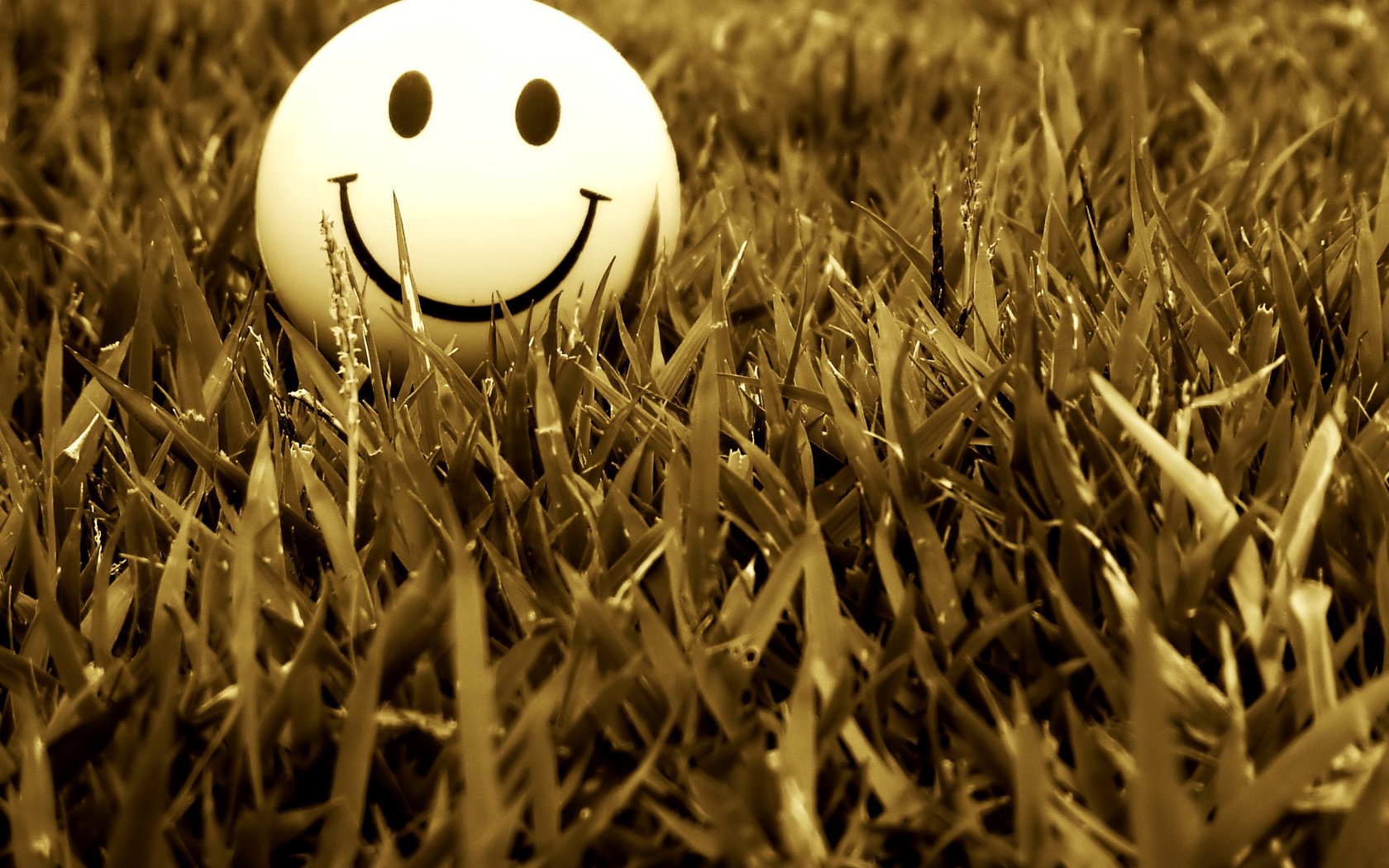 Обои трава, настроение, улыбка, смайл, grass, mood, smile разрешение 2048x1536 Загрузить