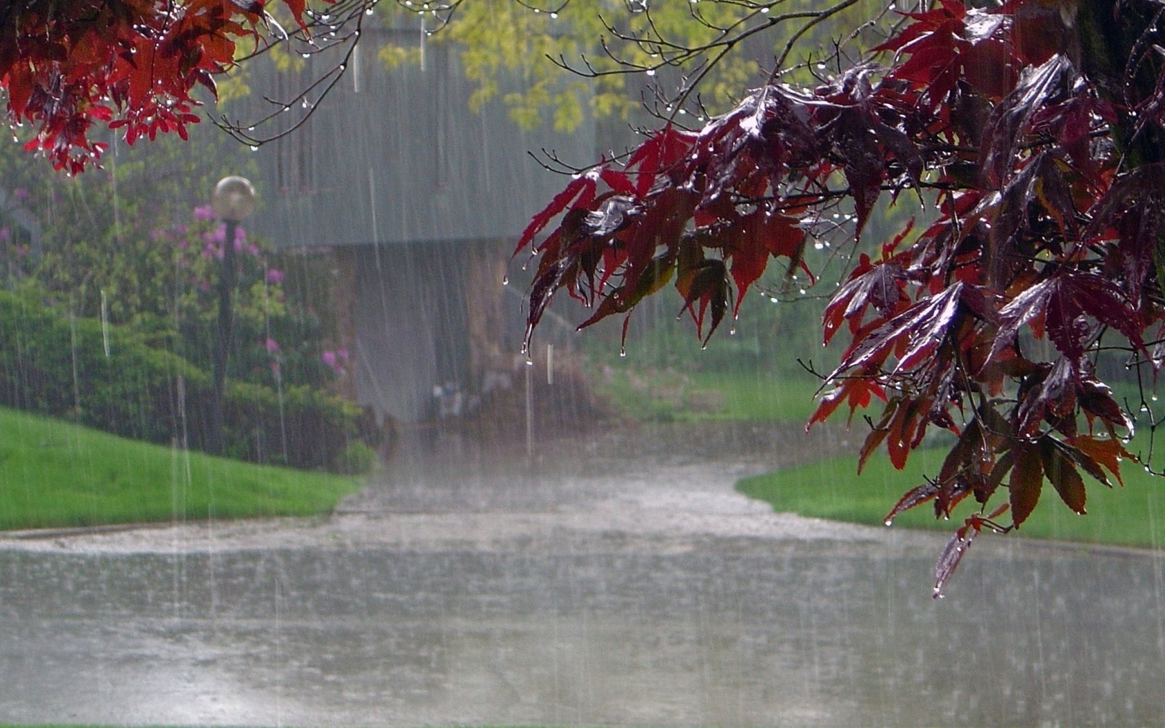 Обои дорога, деревья, листья, парк, капли, листва, дождь, road, trees, leaves, park, drops, foliage, rain разрешение 1920x1440 Загрузить