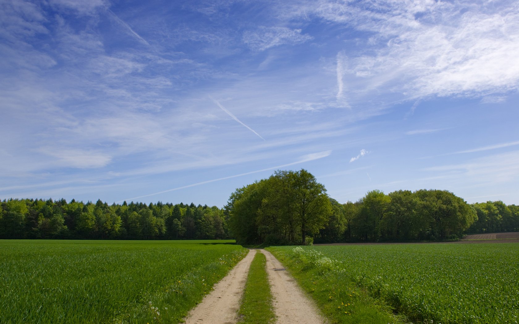 Обои небо, дорога, облака, деревья, зелень, поле, the sky, road, clouds, trees, greens, field разрешение 1920x1200 Загрузить