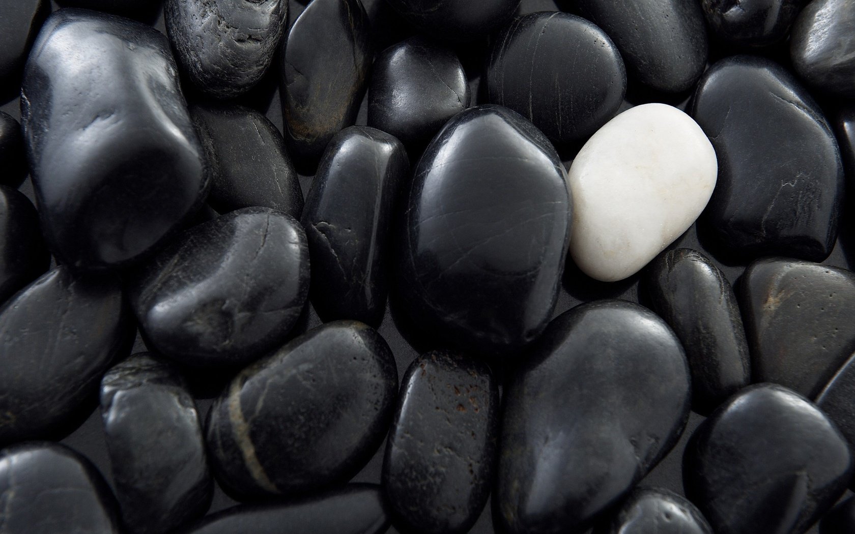 Обои камни, галька, макро, белый, чёрные, не такой как все, stones, pebbles, macro, white, black, not like everyone else разрешение 1920x1278 Загрузить