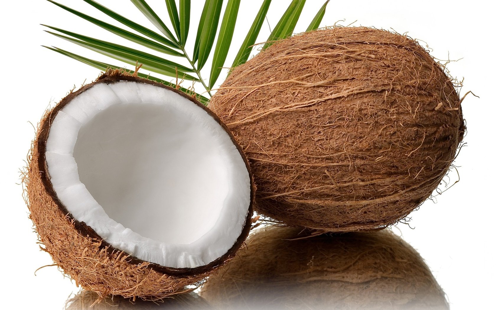Обои фрукты, белый фон, орех, кокос, fruit, white background, walnut, coconut разрешение 1920x1152 Загрузить