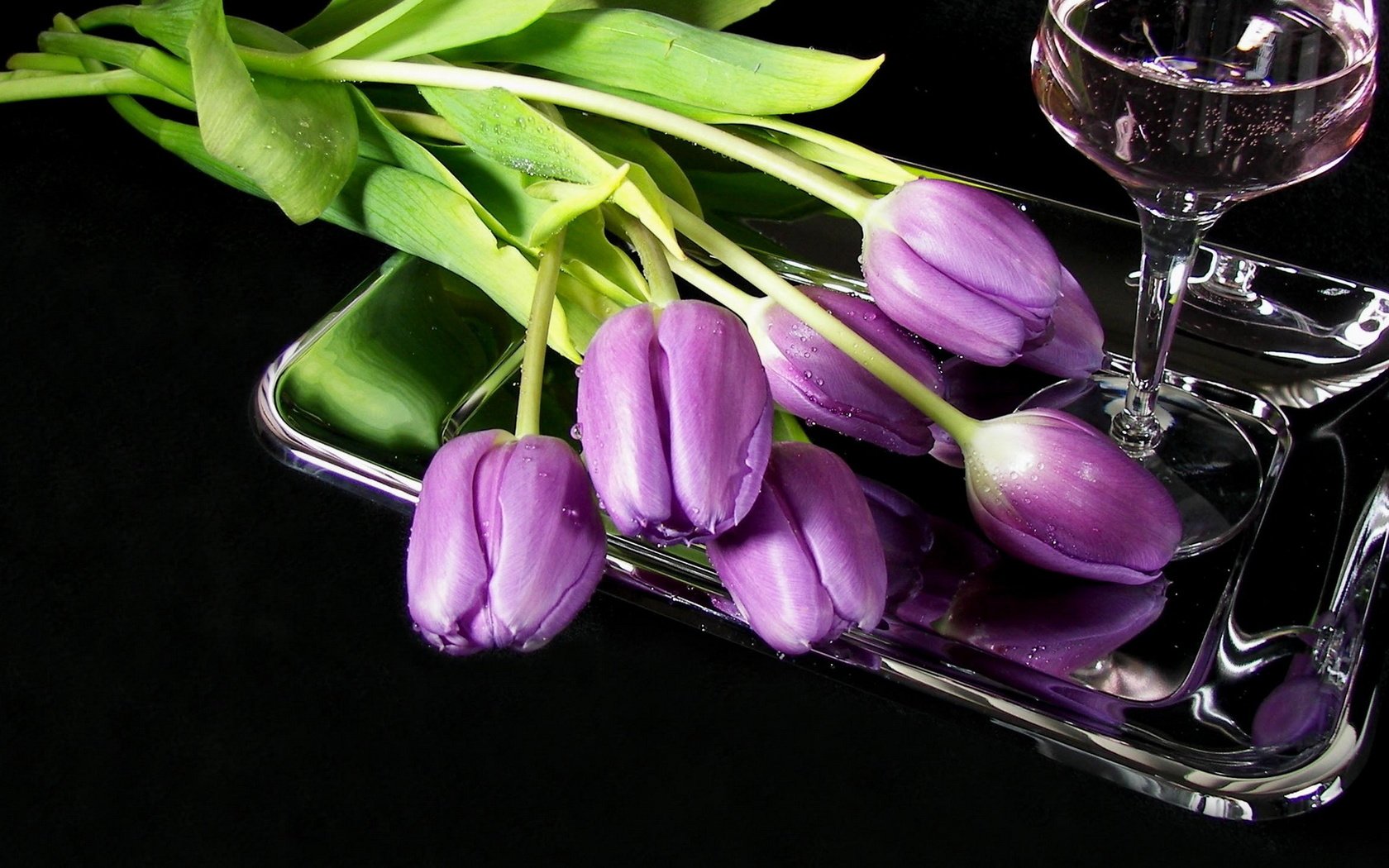 Обои цветы, бокал, тюльпаны, вино, поднос, сиреневые, flowers, glass, tulips, wine, tray, lilac разрешение 1920x1080 Загрузить