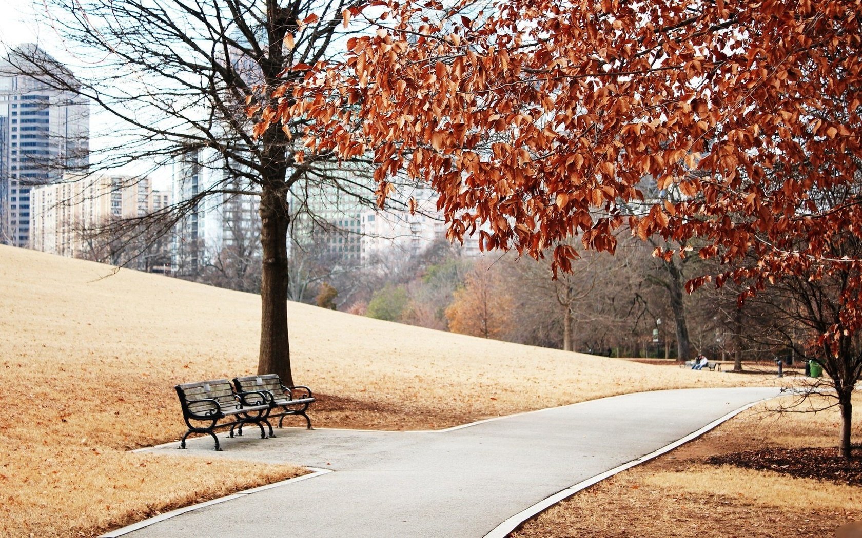 Обои парк, осень, скамейка, алея, park, autumn, bench, alley разрешение 1920x1080 Загрузить