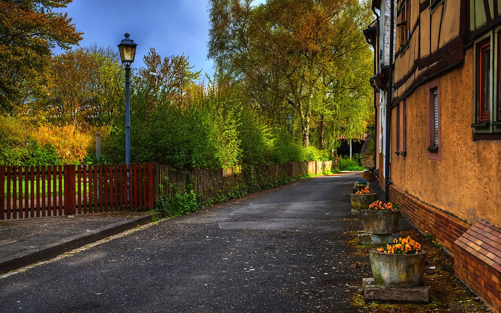 Обои деревья, осень, забор, улица, дом, фонарь, trees, autumn, the fence, street, house, lantern разрешение 1920x1200 Загрузить