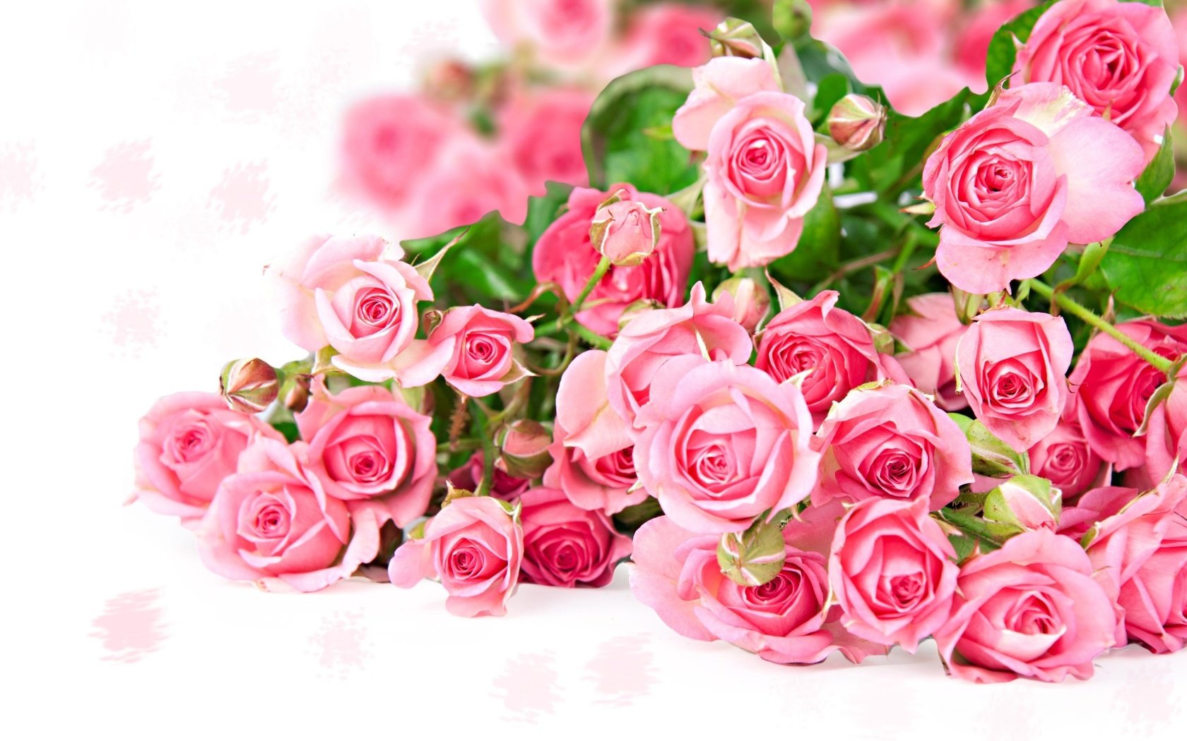 Обои цветы, розы, букет, розовый, бкет роз, flowers, roses, bouquet, pink, bcet roses разрешение 2560x1600 Загрузить