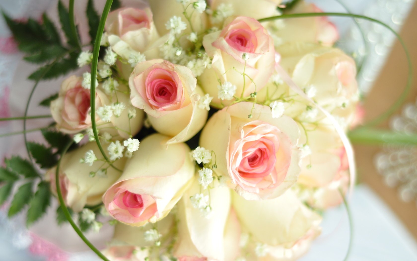 Обои праздниг, cvety, rozy, svadba, prazdnik разрешение 4288x2848 Загрузить