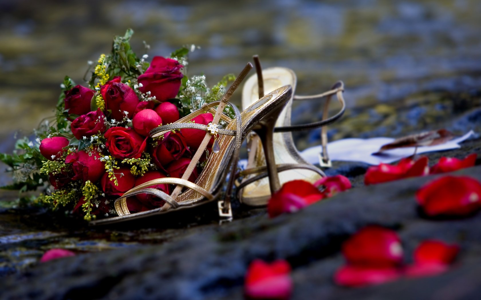 Обои розы, cvety, rozy, buket, svadba, romantika, roses разрешение 3504x2336 Загрузить