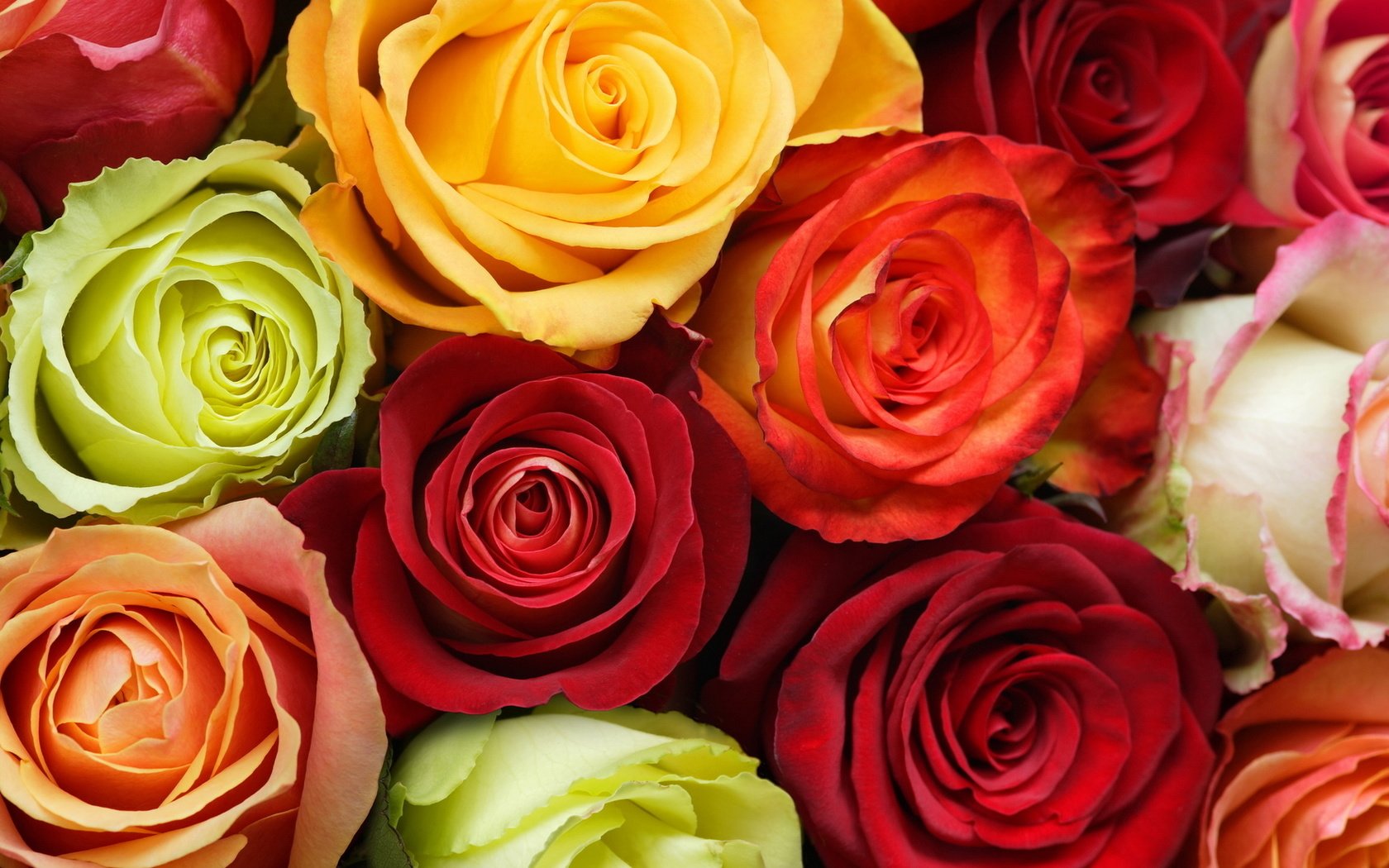 Обои цветы, бутоны, розы, разноцветные, зи, cvety, butony, oranzhevyj, rozy, krasnyj, raznocvetie, flowers, buds, roses, colorful, z разрешение 1920x1080 Загрузить
