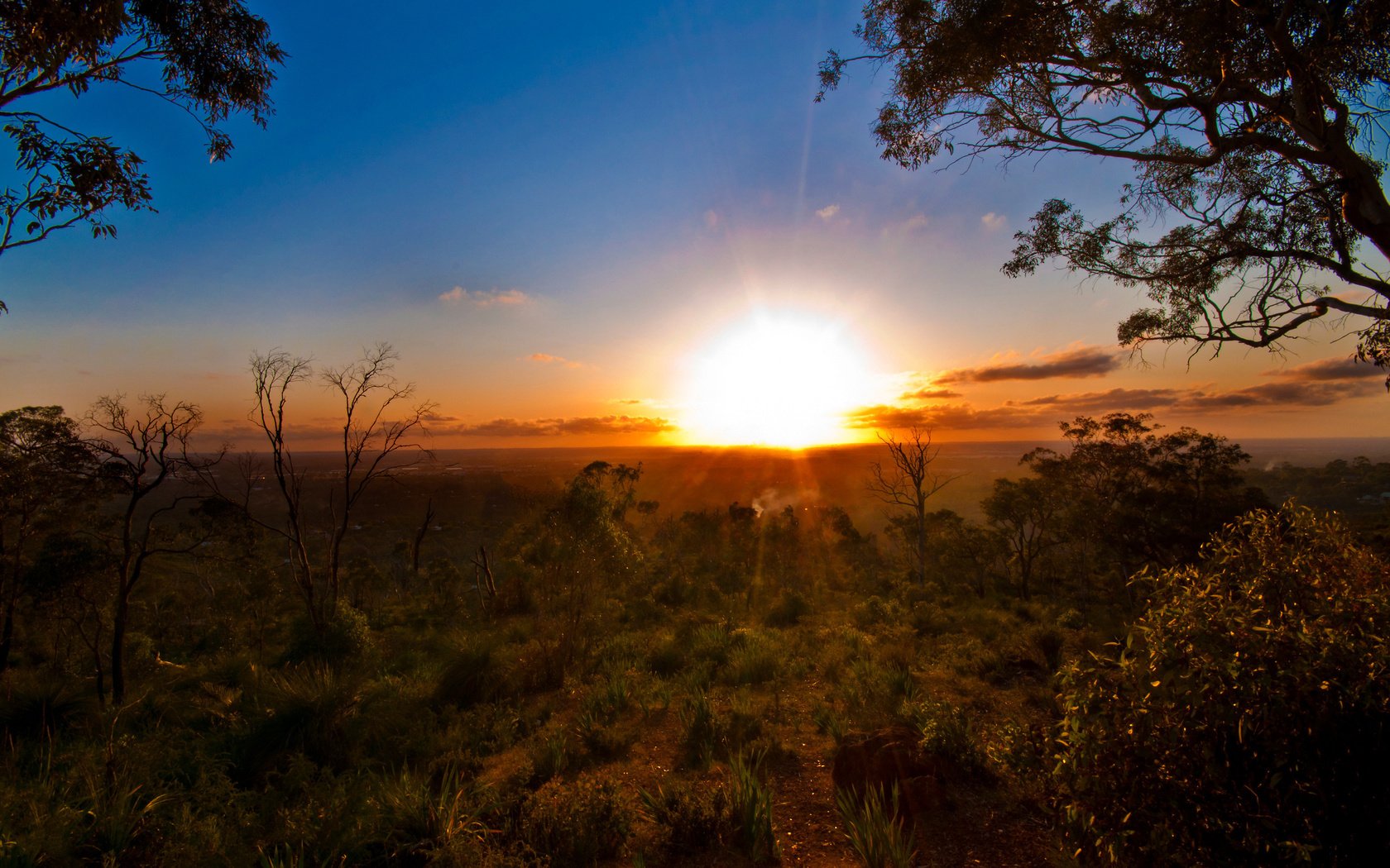 Обои деревья, солнце, закат, горизонт, лето, австралия, trees, the sun, sunset, horizon, summer, australia разрешение 2560x1600 Загрузить