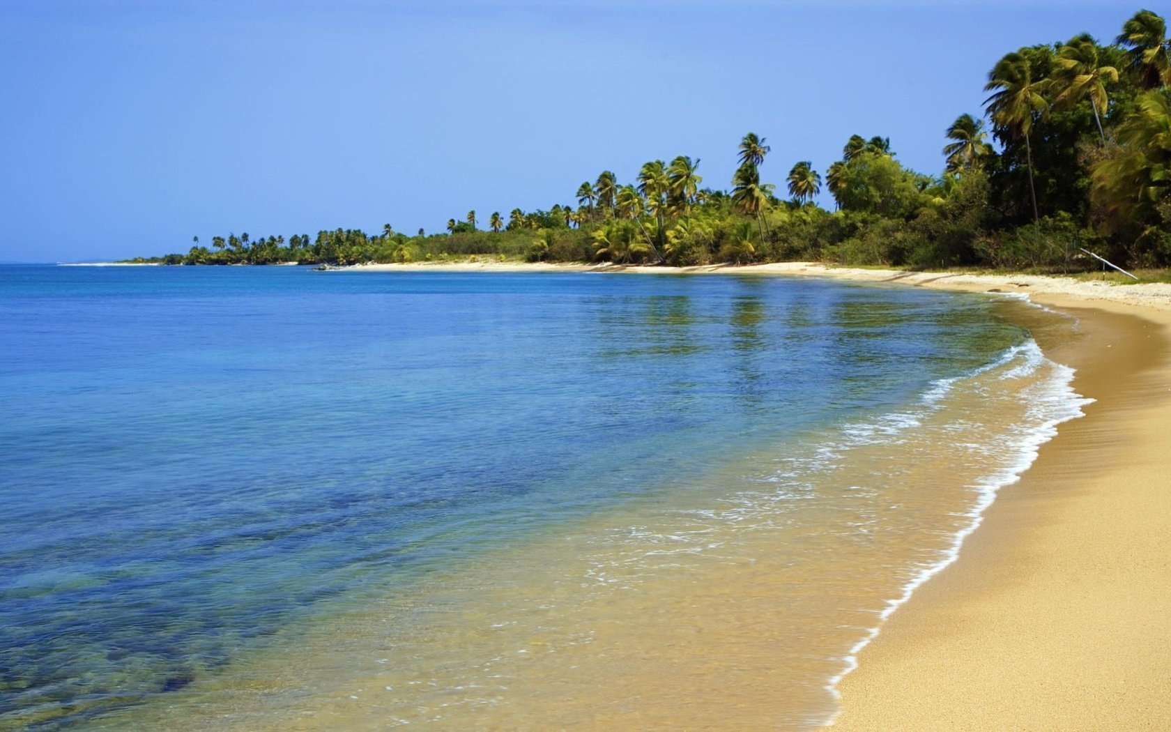 Обои песок, пляж, пальмы, тропики, sand, beach, palm trees, tropics разрешение 1920x1080 Загрузить