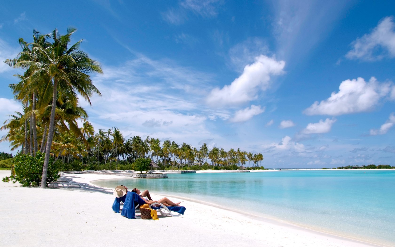 Обои пляж, пальмы, тропики, мальдивы, beach, palm trees, tropics, the maldives разрешение 4256x2848 Загрузить
