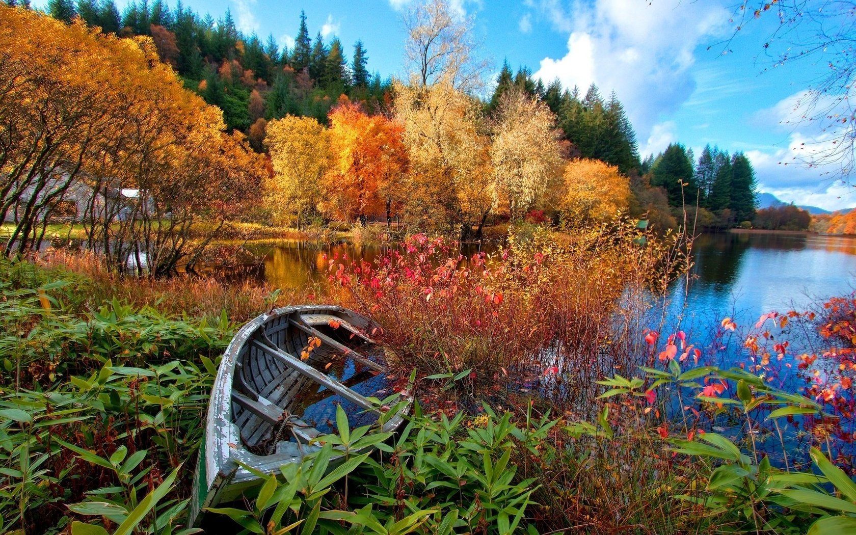 Обои небо, домик, цветы, деревья, озеро, река, лес, осень, лодка, the sky, house, flowers, trees, lake, river, forest, autumn, boat разрешение 1920x1200 Загрузить