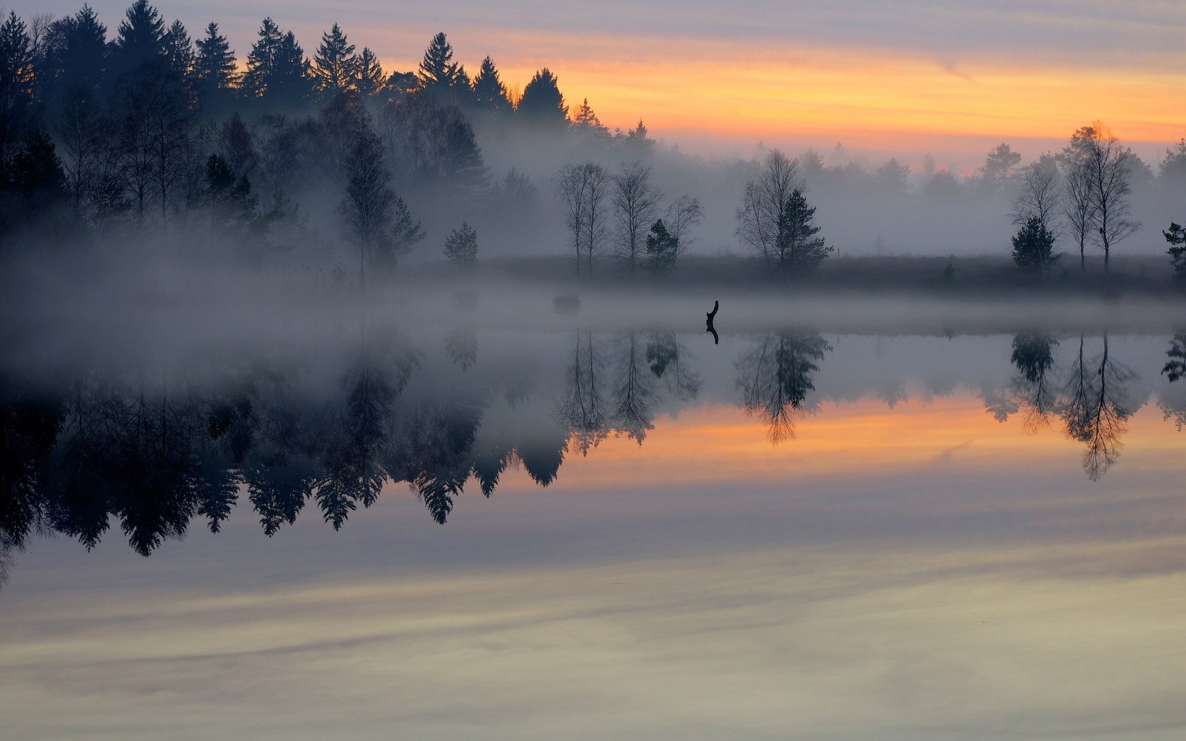 Обои озеро, лес, отражение, утро, туман, рассвет, пруд, гладь, lake, forest, reflection, morning, fog, dawn, pond, surface разрешение 2560x1600 Загрузить