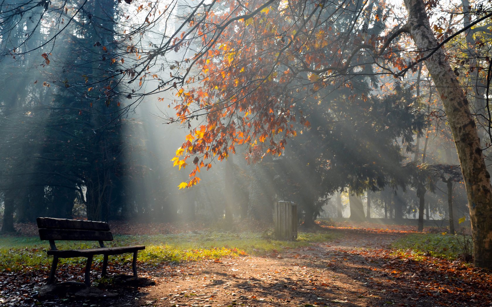 Обои свет, природа, лучи, парк, осень, скамейка, солнечные, light, nature, rays, park, autumn, bench, solar разрешение 1920x1200 Загрузить