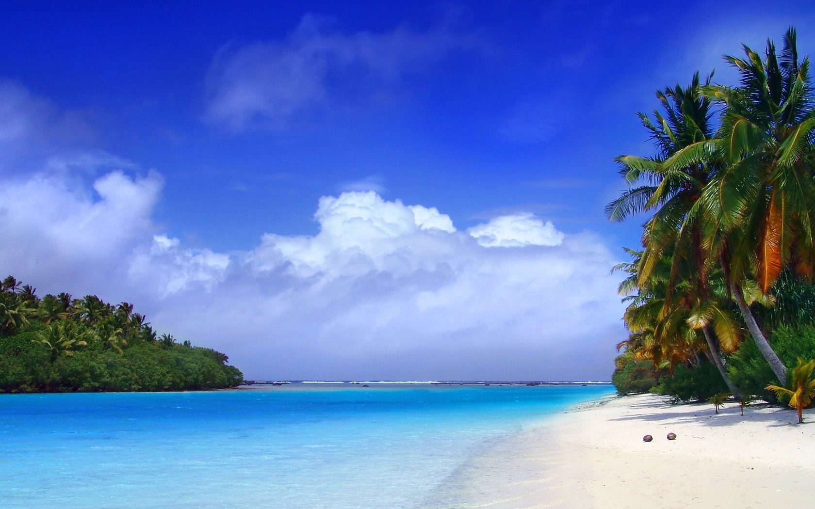 Обои пляж, пальмы, тропики, beach, palm trees, tropics разрешение 1920x1080 Загрузить